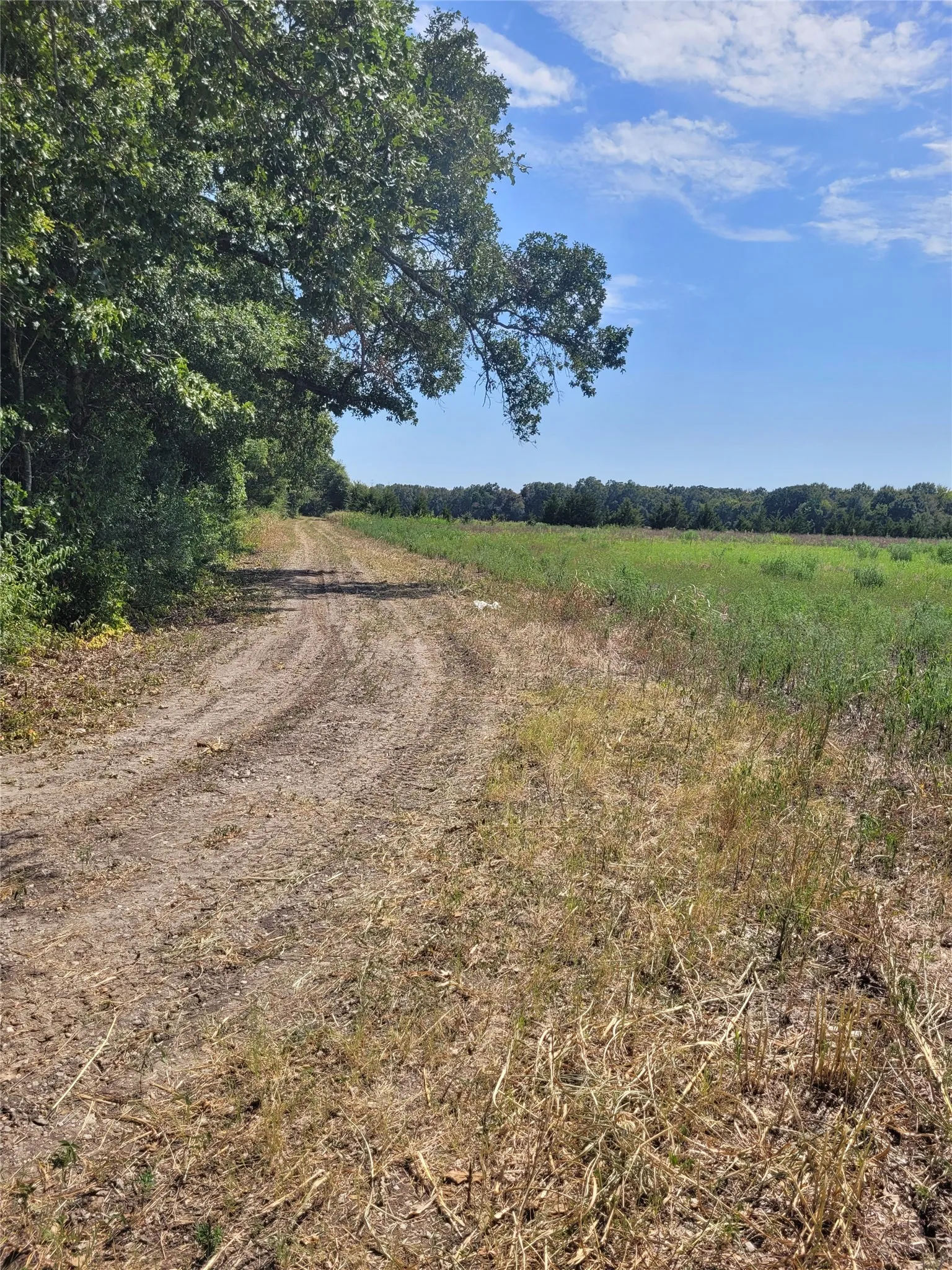 End of second curve in Double S curve.  Land on right and continues 202.61 feet down the road and goes west 1012.15 feet to trees.