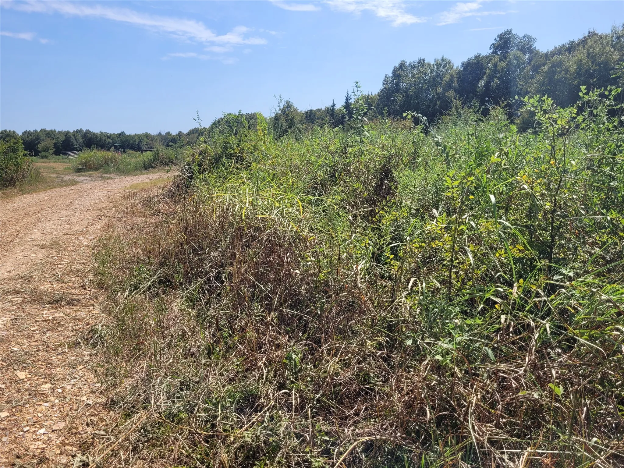 property begins about here on right side of CR 4135 as enter double S curve