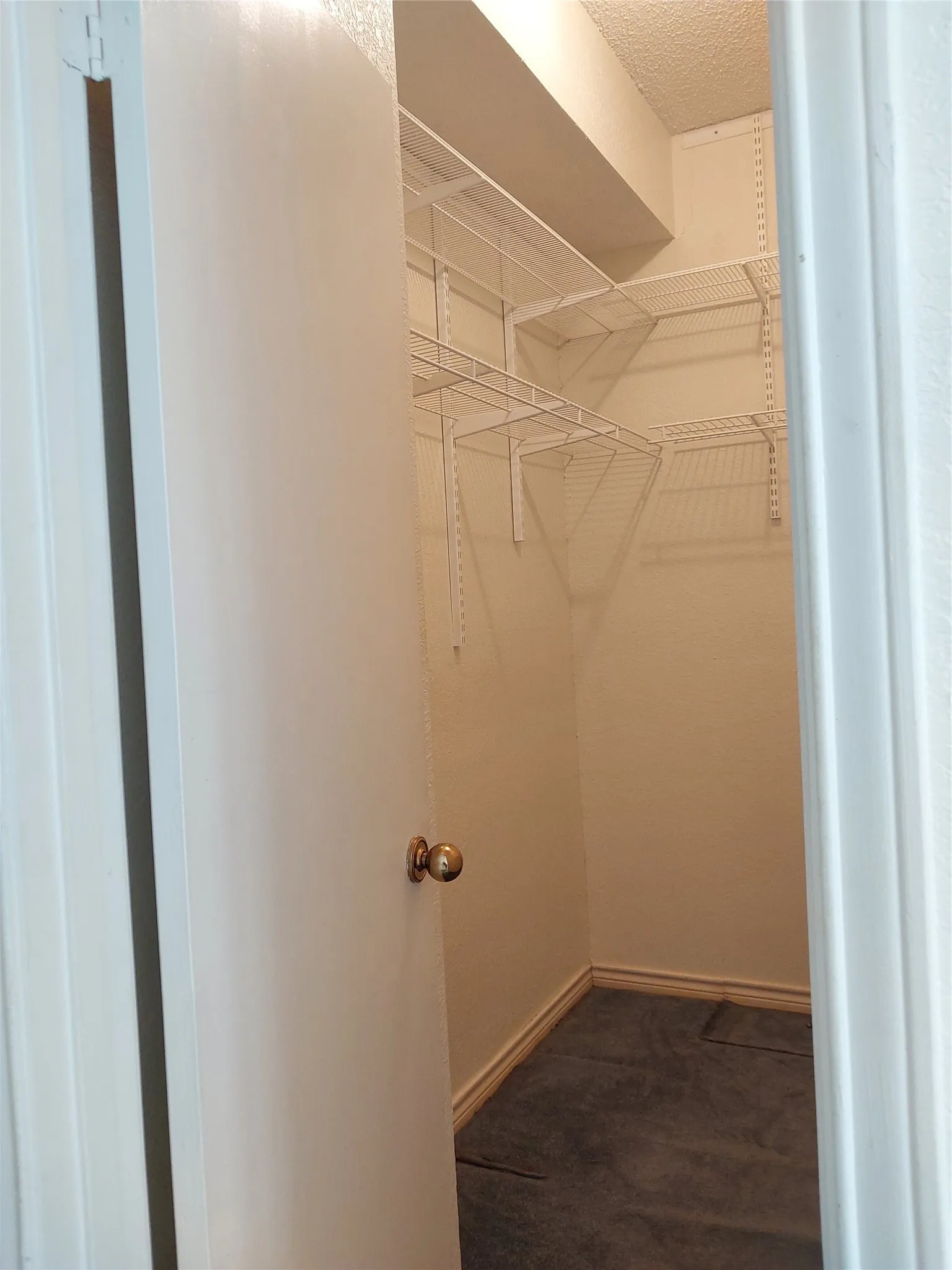 Closet with wire shelving system and gray carpeting