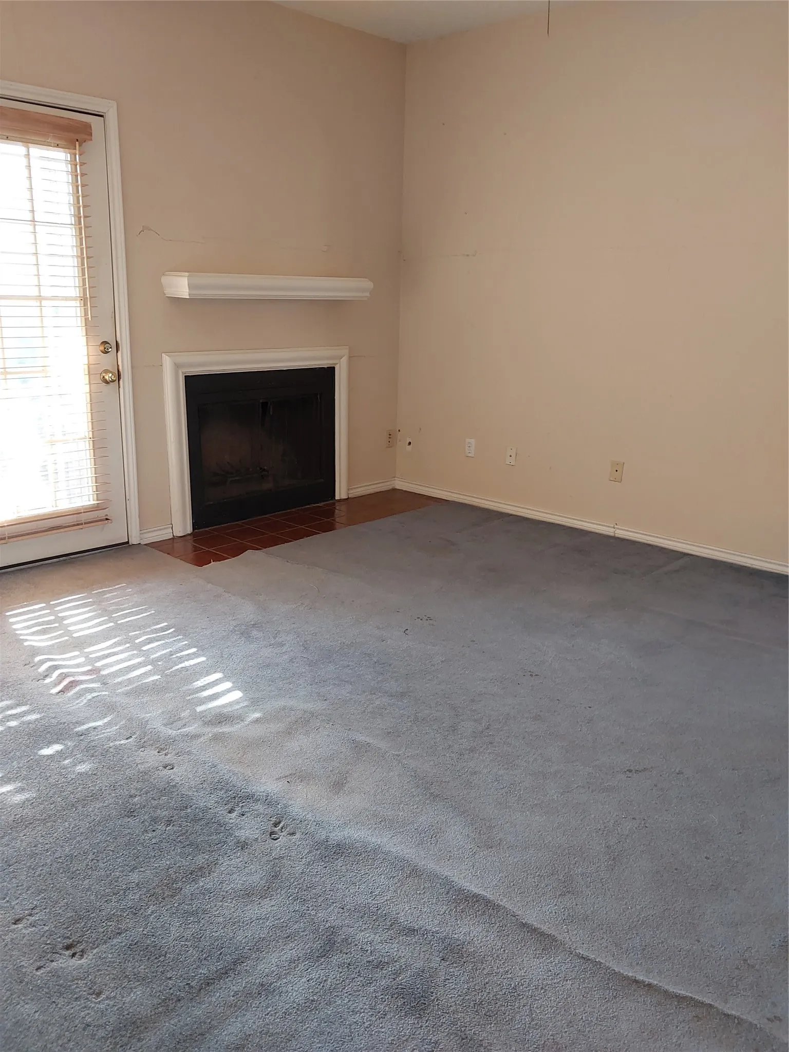 Fireplace with a white mantel and hearth, light-colored walls, and a door with blinds