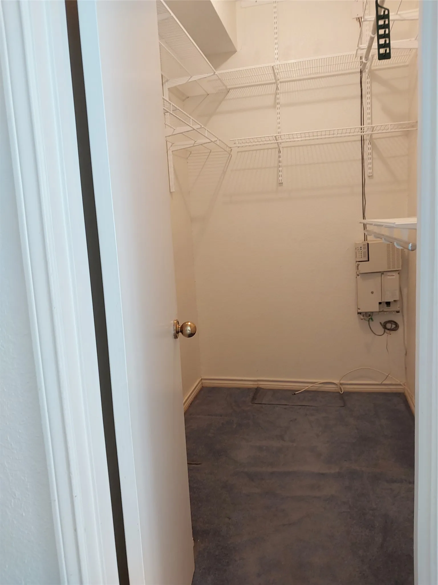 Walk-in closet featuring wire shelving, white walls, and gray carpeting