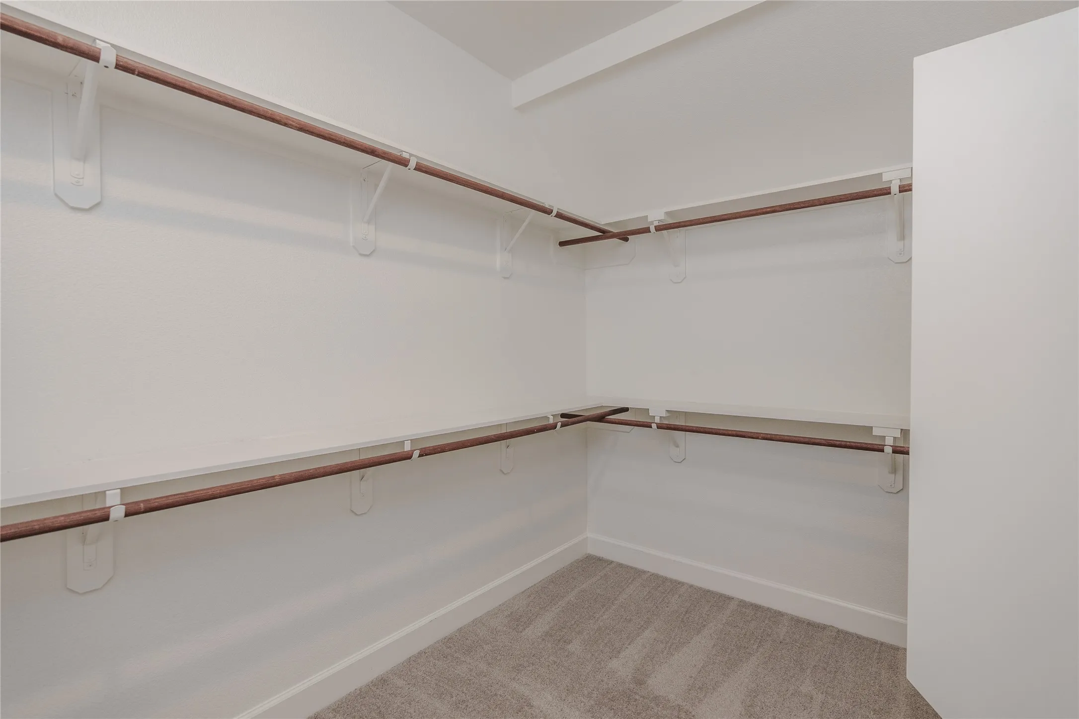 Built-in shelving, hanging rods, and carpet flooring
