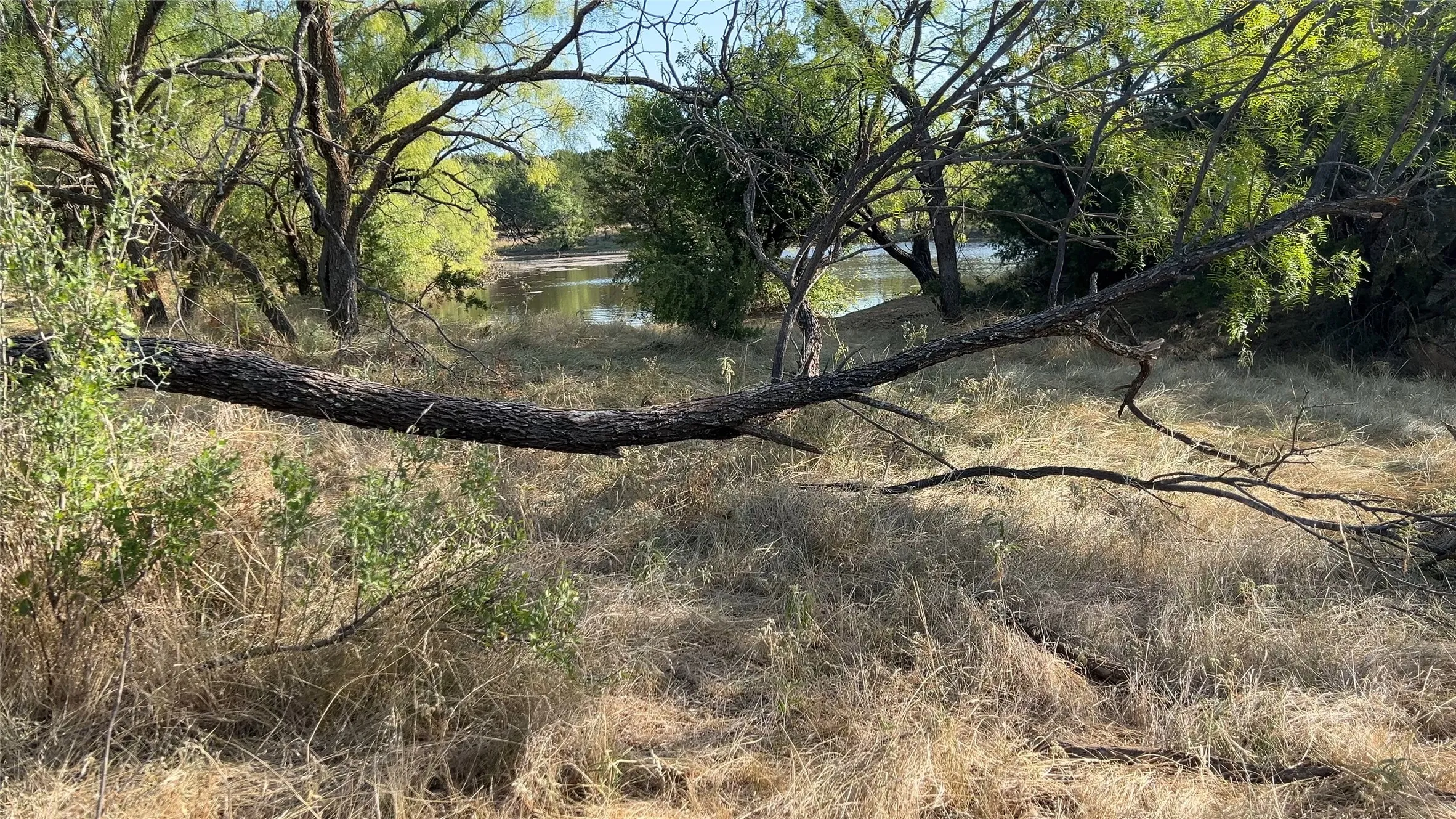 Improved Land For Sale in Stephens County , 000 County Rd 103, Caddo, Texas 76429, 0, 0, Garage spaces, 0 Sqft, built in 0, Price $6,900,000, mls#21366092, Real Estate Agent in Caddo, Homes For Sale in Stephens county, Homes For Sale in Caddo, Realtor in Caddo Texas, Real Estate Brokerage Independent Realty Texas, Luminita Cordes Realtor