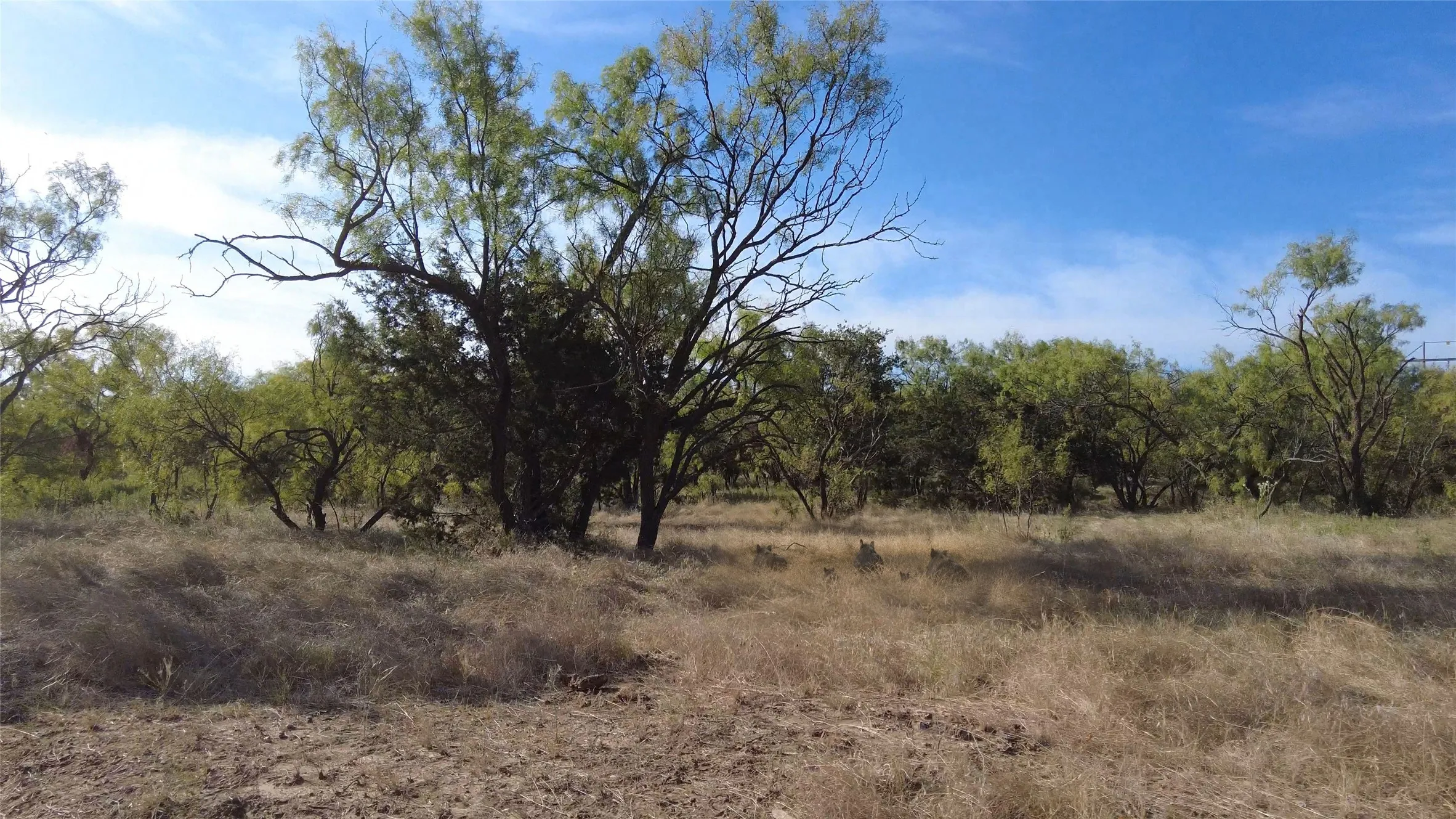 Improved Land For Sale in Stephens County , 000 County Rd 103, Caddo, Texas 76429, 0, 0, Garage spaces, 0 Sqft, built in 0, Price $6,900,000, mls#21366092, Real Estate Agent in Caddo, Homes For Sale in Stephens county, Homes For Sale in Caddo, Realtor in Caddo Texas, Real Estate Brokerage Independent Realty Texas, Luminita Cordes Realtor