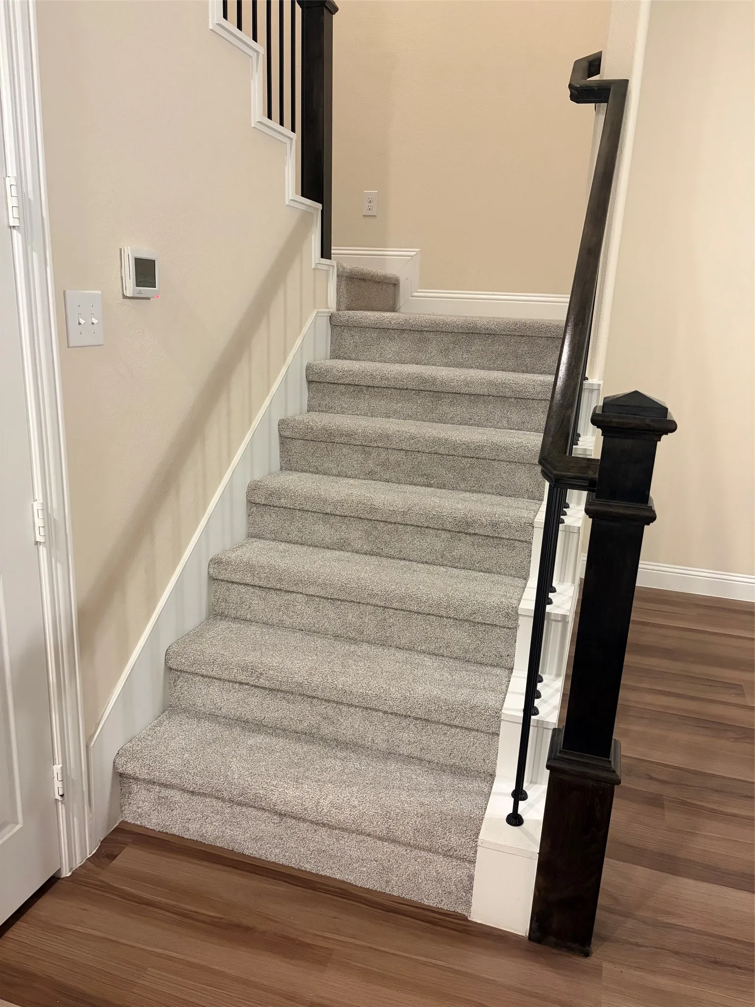 New Carpet