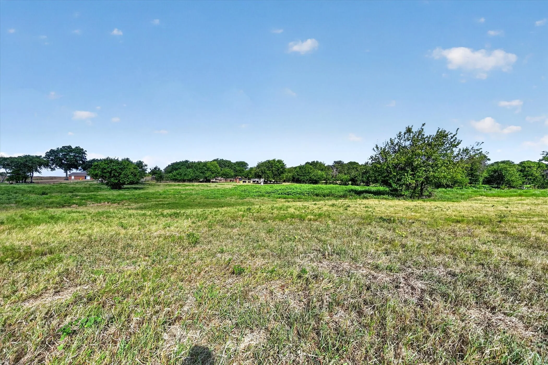 Improved Land For Sale in Ellis County , 401 Dale Acres Road, Italy, Texas 76651, 0, 0, Garage spaces, 0 Sqft, built in 2003, mls#21365854, Real Estate Agent in Italy, Homes For Sale in Ellis county, Homes For Sale in Italy, Realtor in Italy Texas, Real Estate Brokerage Independent Realty Texas, Luminita Cordes Realtor