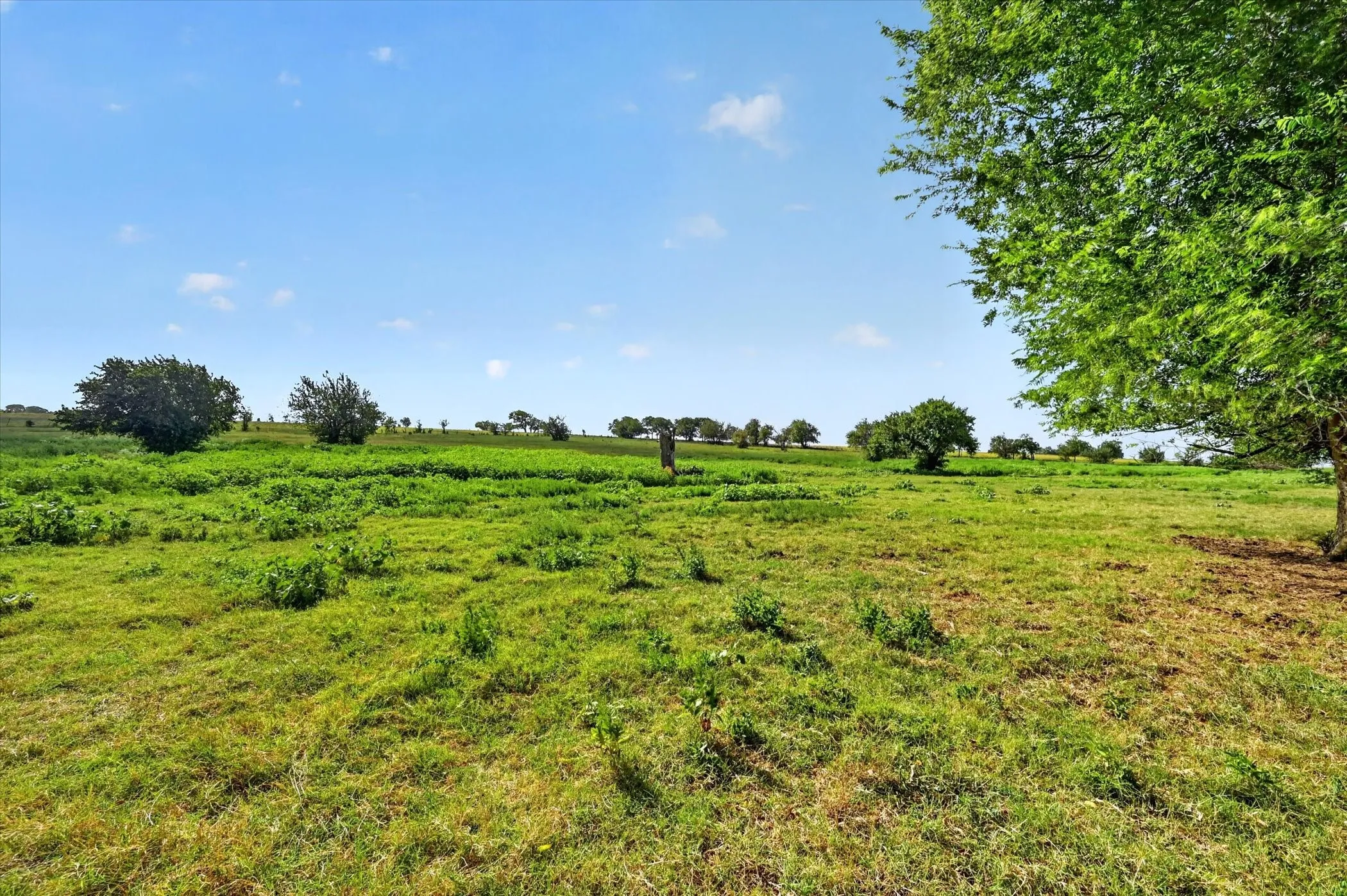 Improved Land For Sale in Ellis County , 401 Dale Acres Road, Italy, Texas 76651, 0, 0, Garage spaces, 0 Sqft, built in 2003, mls#21365854, Real Estate Agent in Italy, Homes For Sale in Ellis county, Homes For Sale in Italy, Realtor in Italy Texas, Real Estate Brokerage Independent Realty Texas, Luminita Cordes Realtor