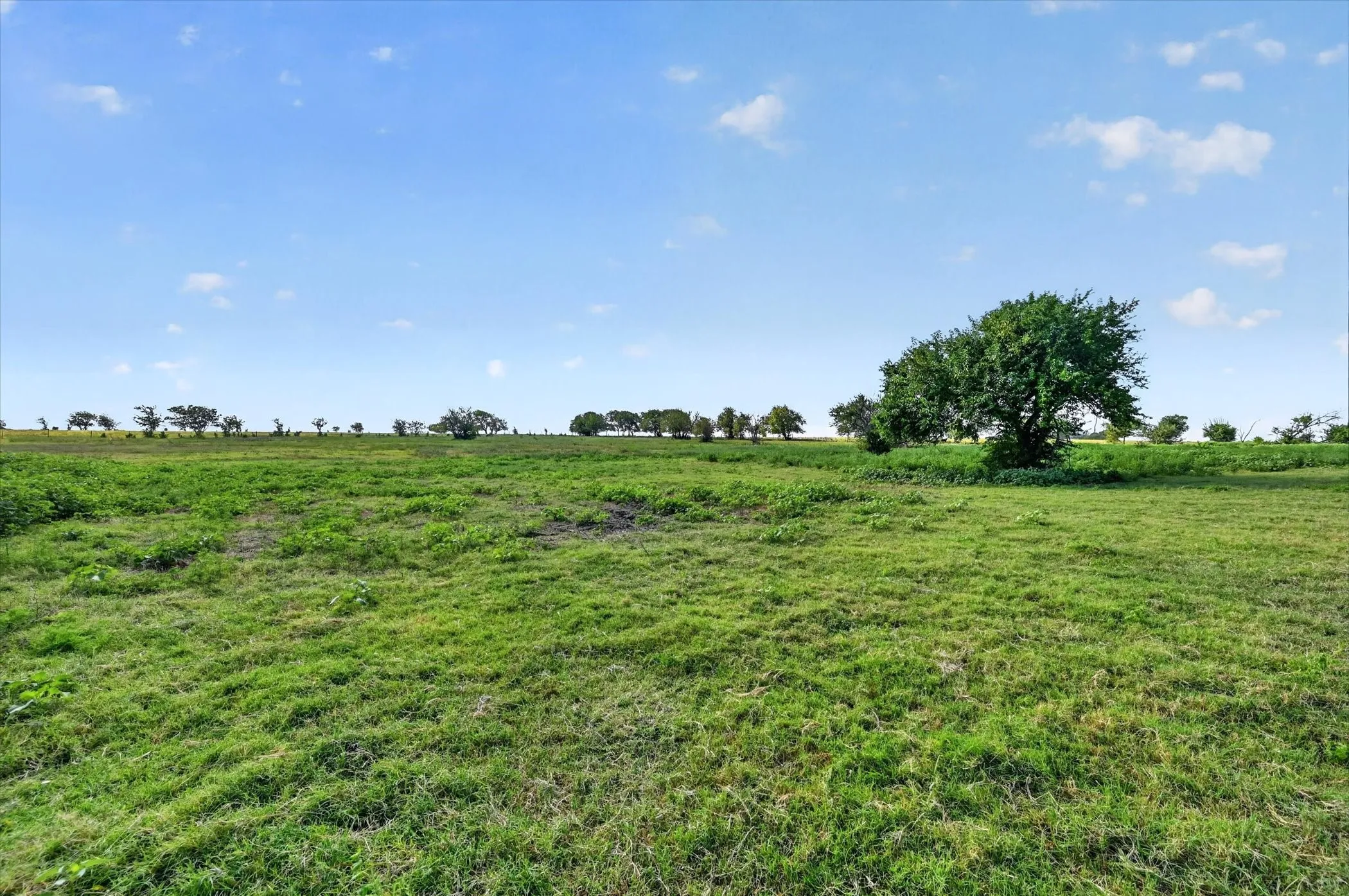 Improved Land For Sale in Ellis County , 401 Dale Acres Road, Italy, Texas 76651, 0, 0, Garage spaces, 0 Sqft, built in 2003, mls#21365854, Real Estate Agent in Italy, Homes For Sale in Ellis county, Homes For Sale in Italy, Realtor in Italy Texas, Real Estate Brokerage Independent Realty Texas, Luminita Cordes Realtor