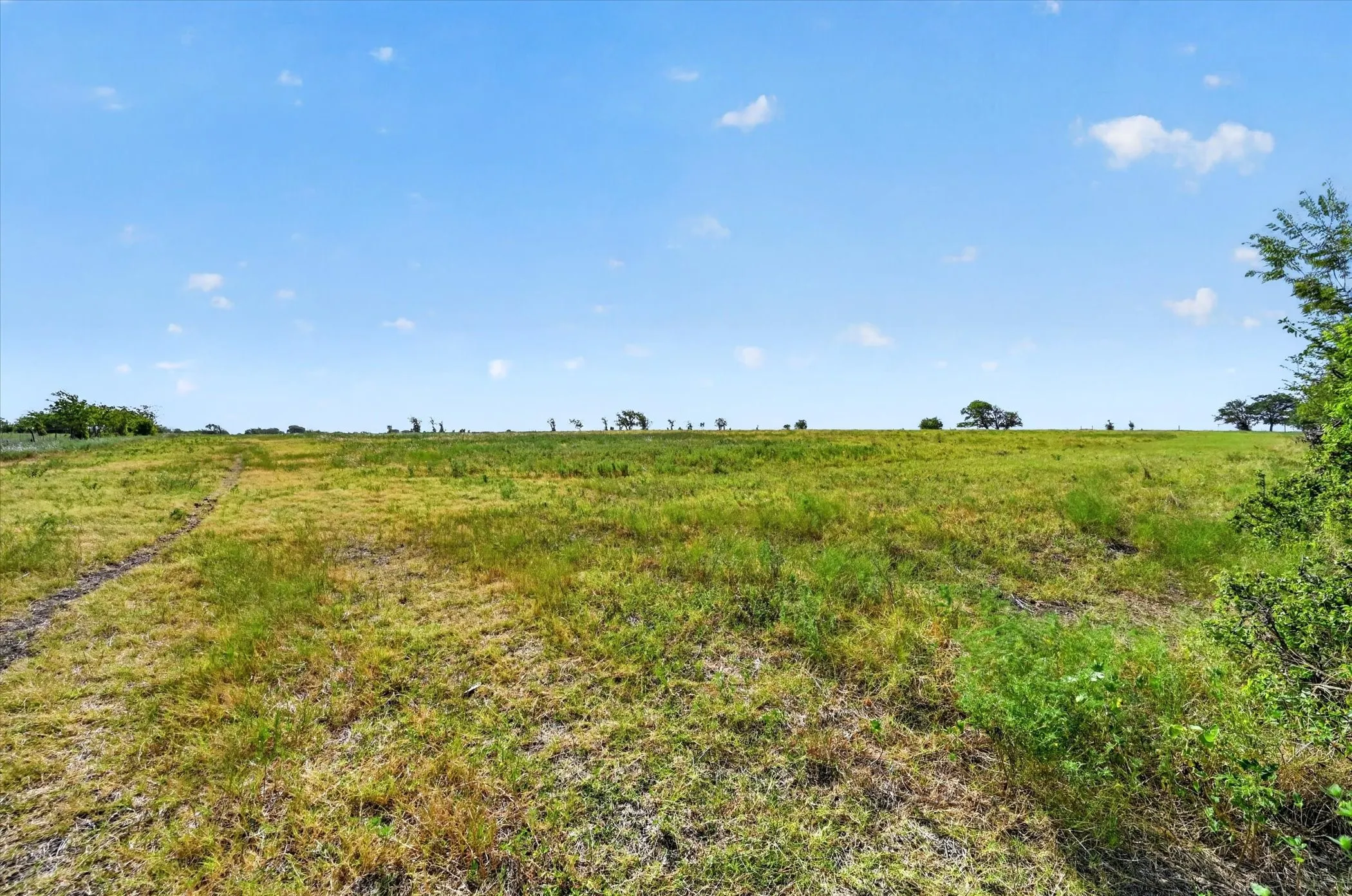Improved Land For Sale in Ellis County , 401 Dale Acres Road, Italy, Texas 76651, 0, 0, Garage spaces, 0 Sqft, built in 2003, mls#21365854, Real Estate Agent in Italy, Homes For Sale in Ellis county, Homes For Sale in Italy, Realtor in Italy Texas, Real Estate Brokerage Independent Realty Texas, Luminita Cordes Realtor