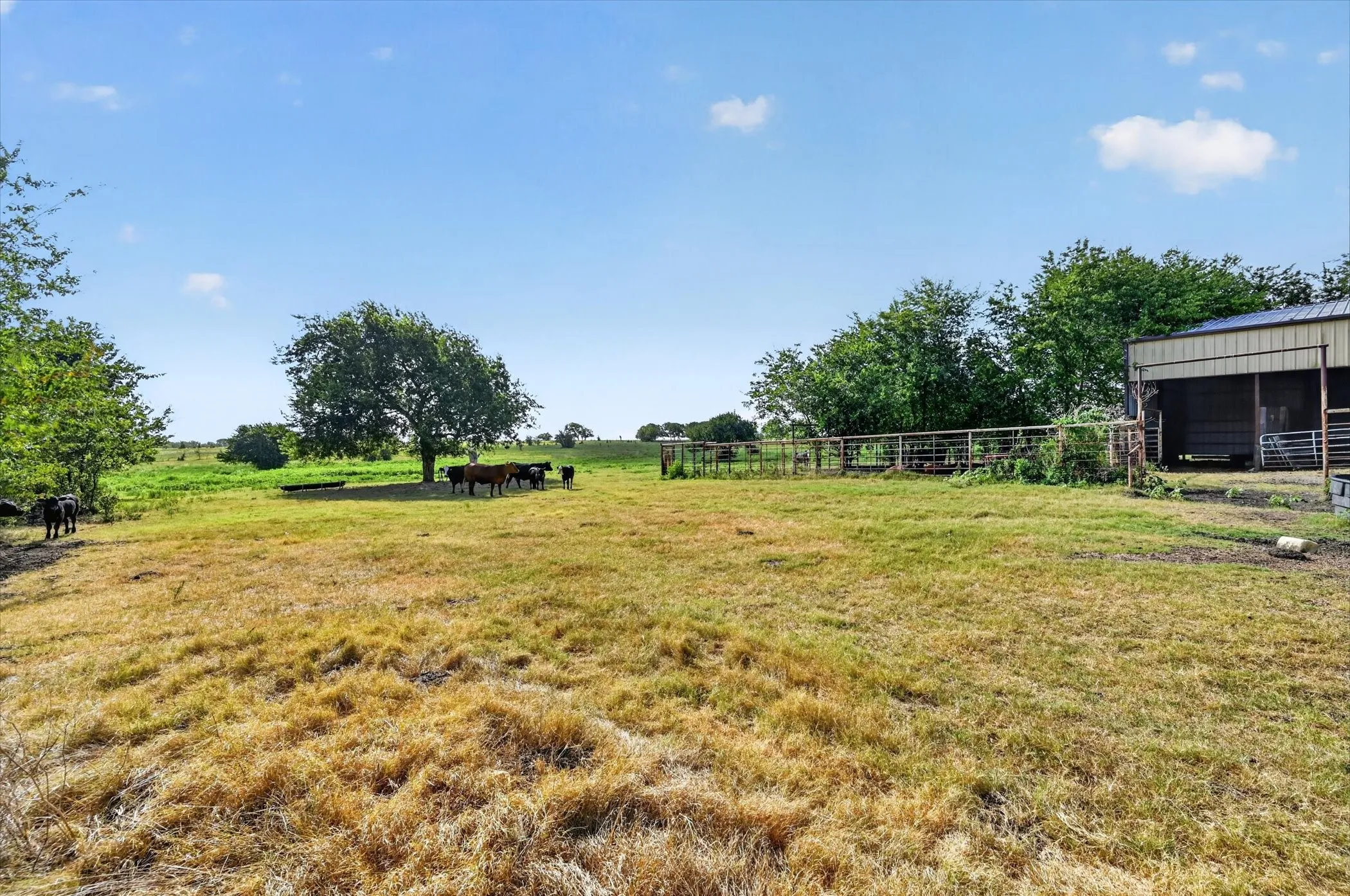 Improved Land For Sale in Ellis County , 401 Dale Acres Road, Italy, Texas 76651, 0, 0, Garage spaces, 0 Sqft, built in 2003, mls#21365854, Real Estate Agent in Italy, Homes For Sale in Ellis county, Homes For Sale in Italy, Realtor in Italy Texas, Real Estate Brokerage Independent Realty Texas, Luminita Cordes Realtor