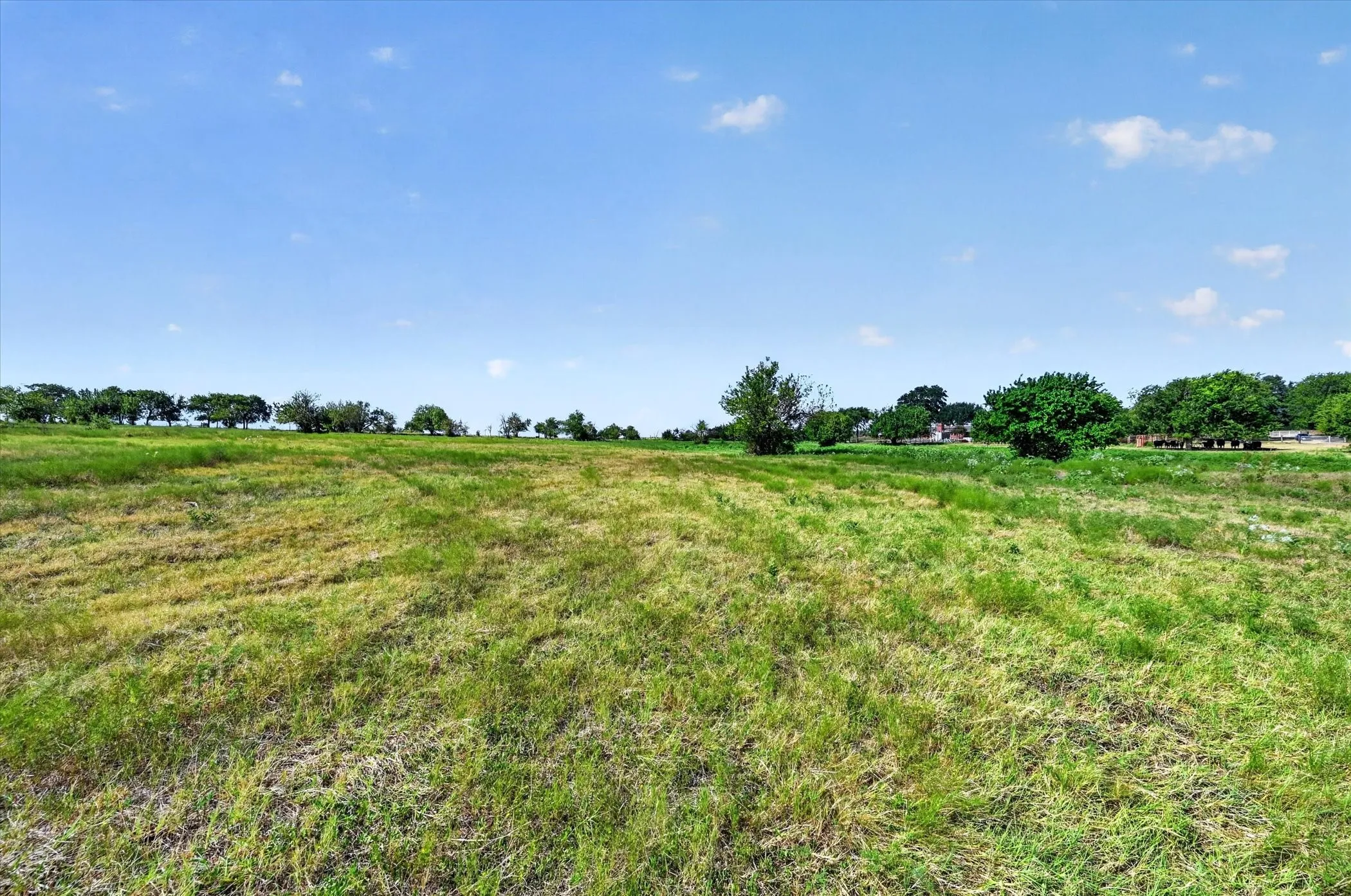 Improved Land For Sale in Ellis County , 401 Dale Acres Road, Italy, Texas 76651, 0, 0, Garage spaces, 0 Sqft, built in 2003, mls#21365854, Real Estate Agent in Italy, Homes For Sale in Ellis county, Homes For Sale in Italy, Realtor in Italy Texas, Real Estate Brokerage Independent Realty Texas, Luminita Cordes Realtor