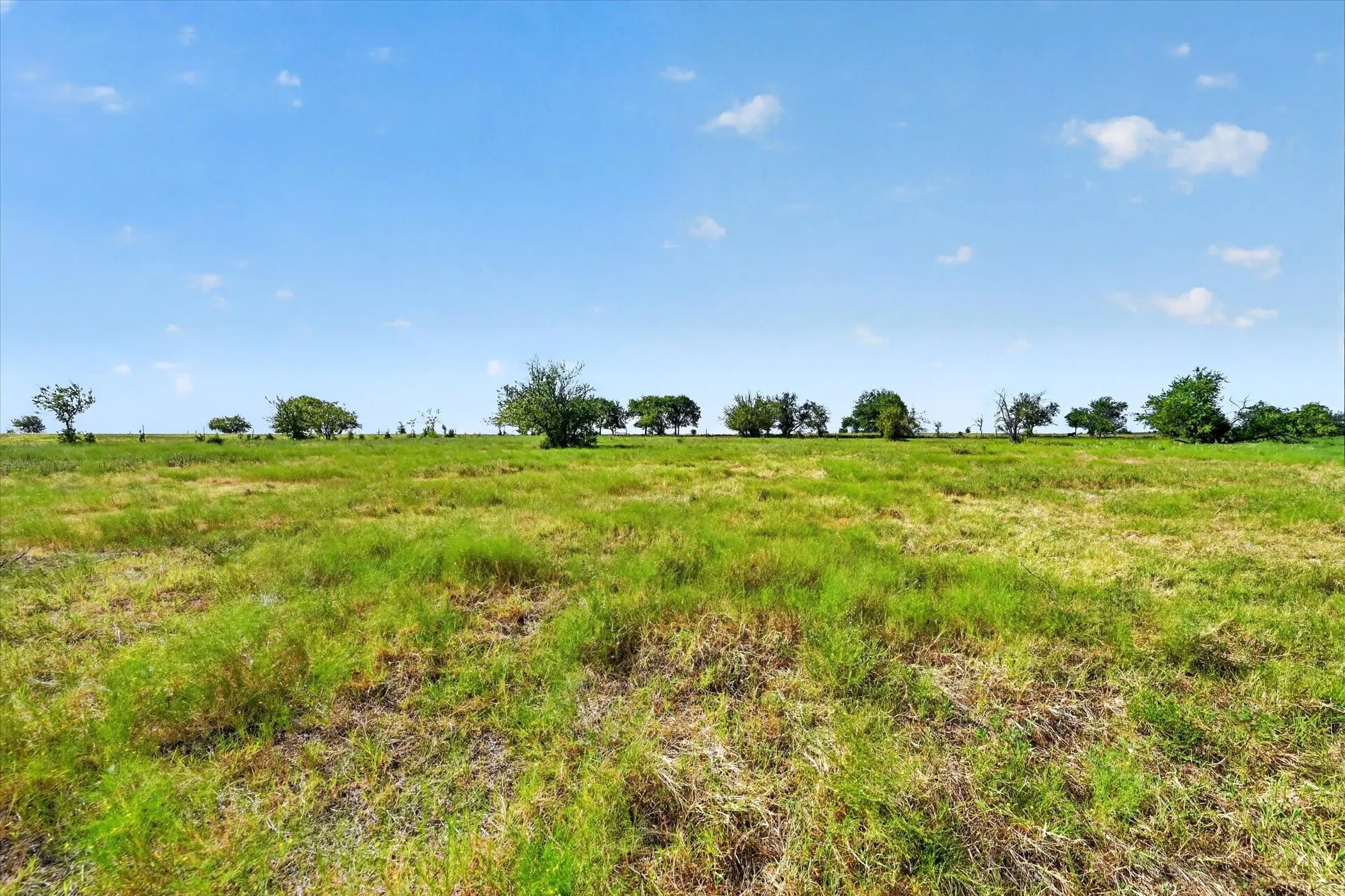 Improved Land For Sale in Ellis County , 401 Dale Acres Road, Italy, Texas 76651, 0, 0, Garage spaces, 0 Sqft, built in 2003, mls#21365854, Real Estate Agent in Italy, Homes For Sale in Ellis county, Homes For Sale in Italy, Realtor in Italy Texas, Real Estate Brokerage Independent Realty Texas, Luminita Cordes Realtor