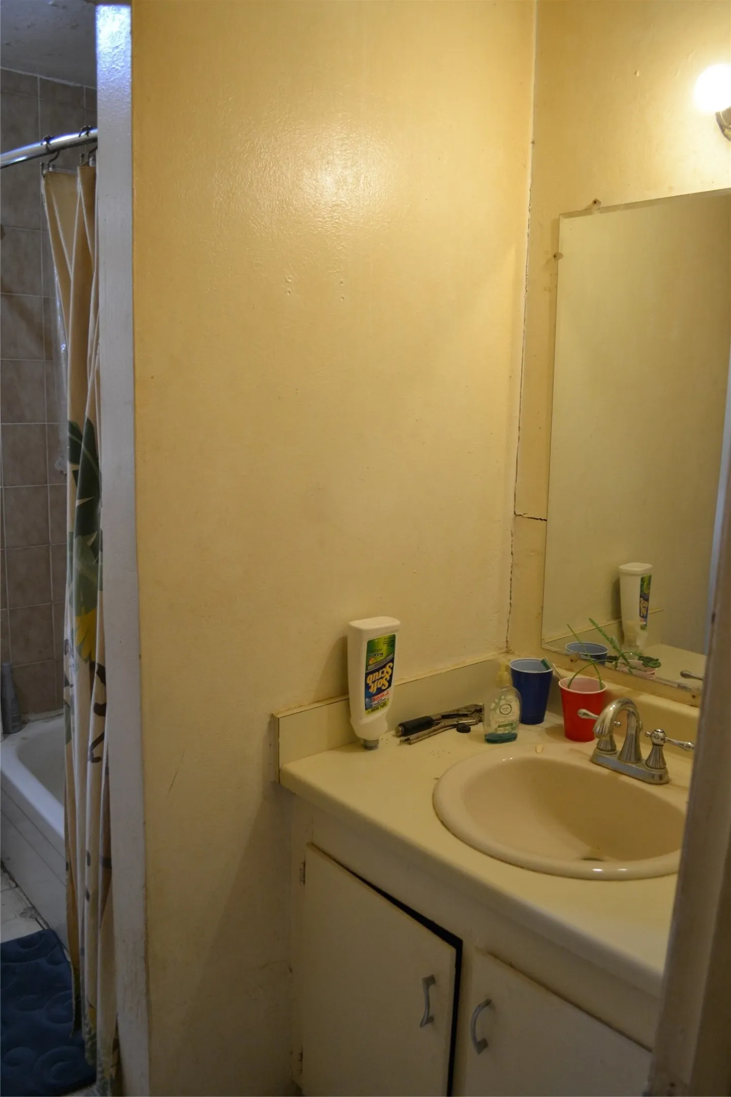 Main bath sink