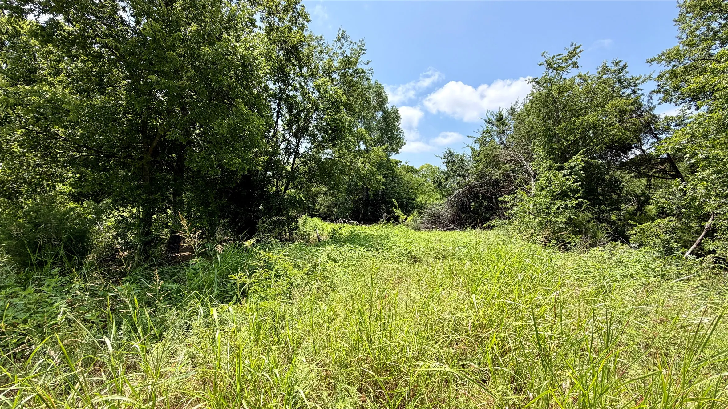 Improved Land For Sale in Montague County , 207 Hill Street, Nocona, Texas 76255, 0, 0, Garage spaces, 0 Sqft, built in 0, mls#21367503, Real Estate Agent in Nocona, Homes For Sale in Montague county, Homes For Sale in Nocona, Realtor in Nocona Texas, Real Estate Brokerage Independent Realty Texas, Luminita Cordes Realtor