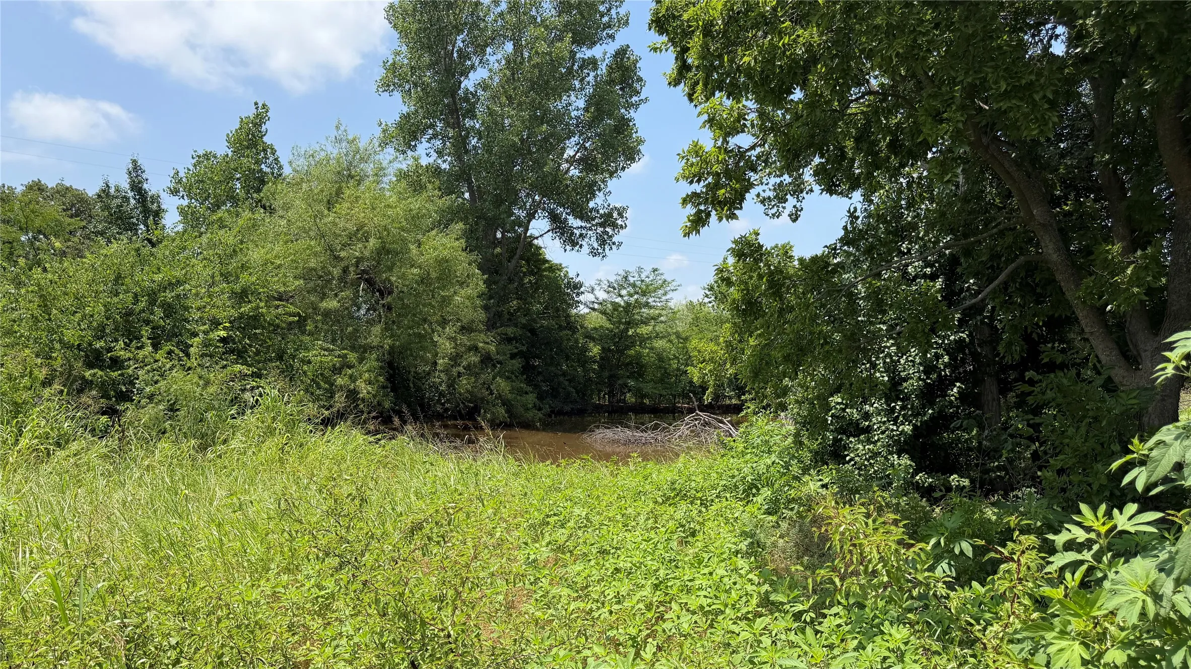 Improved Land For Sale in Montague County , 207 Hill Street, Nocona, Texas 76255, 0, 0, Garage spaces, 0 Sqft, built in 0, mls#21367503, Real Estate Agent in Nocona, Homes For Sale in Montague county, Homes For Sale in Nocona, Realtor in Nocona Texas, Real Estate Brokerage Independent Realty Texas, Luminita Cordes Realtor