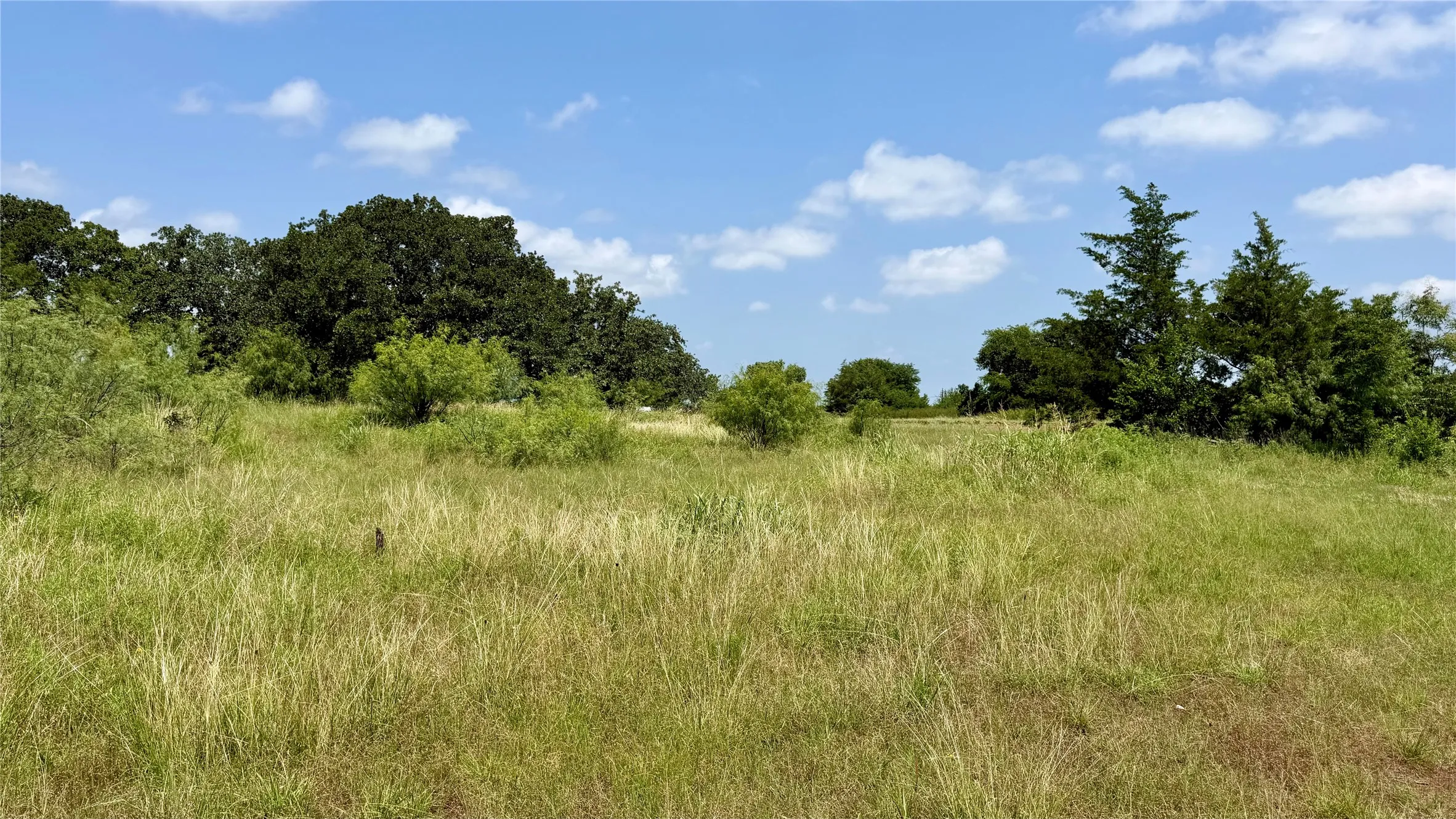 Improved Land For Sale in Montague County , 207 Hill Street, Nocona, Texas 76255, 0, 0, Garage spaces, 0 Sqft, built in 0, mls#21367503, Real Estate Agent in Nocona, Homes For Sale in Montague county, Homes For Sale in Nocona, Realtor in Nocona Texas, Real Estate Brokerage Independent Realty Texas, Luminita Cordes Realtor