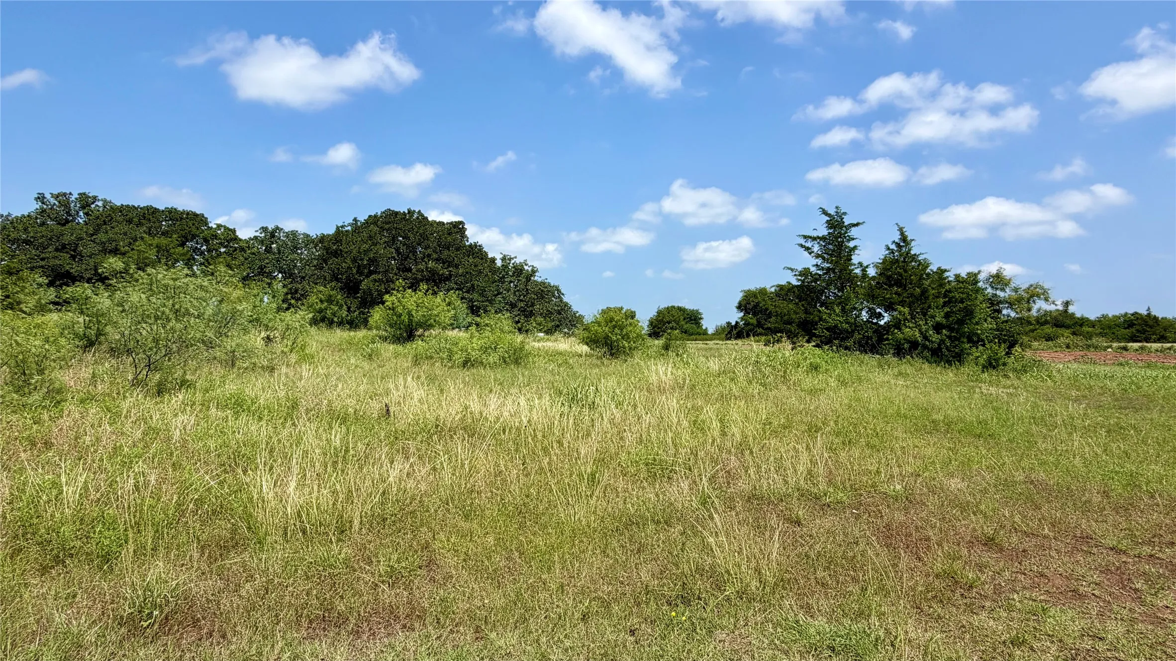 Improved Land For Sale in Montague County , 207 Hill Street, Nocona, Texas 76255, 0, 0, Garage spaces, 0 Sqft, built in 0, mls#21367503, Real Estate Agent in Nocona, Homes For Sale in Montague county, Homes For Sale in Nocona, Realtor in Nocona Texas, Real Estate Brokerage Independent Realty Texas, Luminita Cordes Realtor