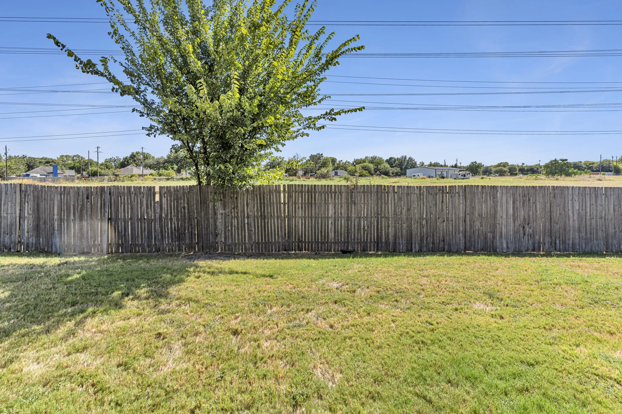 Expansive grassy yard with a privacy fence and mature tree