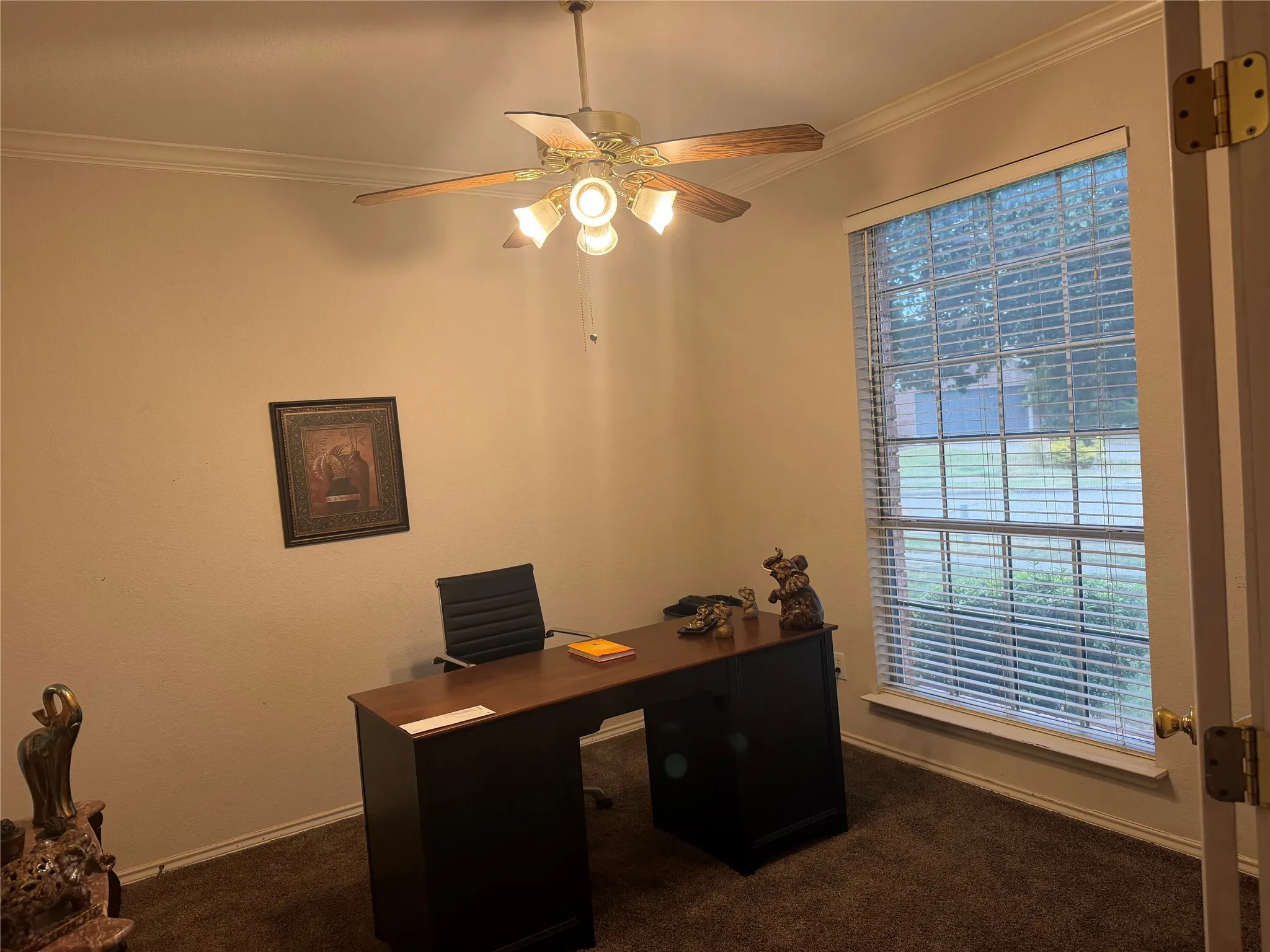 Ceiling fan light fixture, crown molding, double-pane window, carpet flooring
