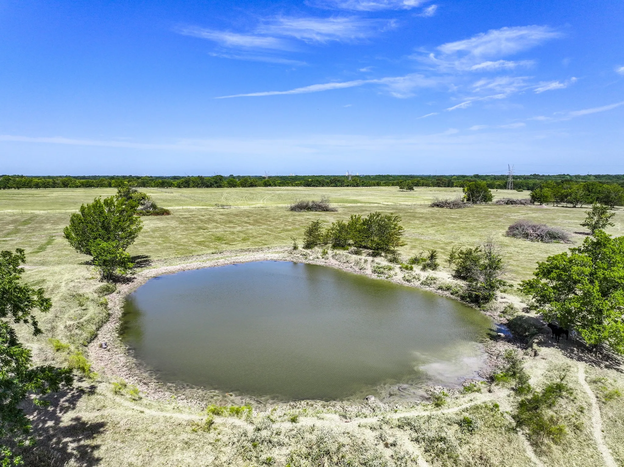 Unimproved Land For Sale in Hopkins County , 229 County Road 4733, Cumby, Texas 75433, 0, 0, Garage spaces, 0 Sqft, built in 0, mls#21367601, Real Estate Agent in Cumby, Homes For Sale in Hopkins county, Homes For Sale in Cumby, Realtor in Cumby Texas, Real Estate Brokerage Independent Realty Texas, Luminita Cordes Realtor