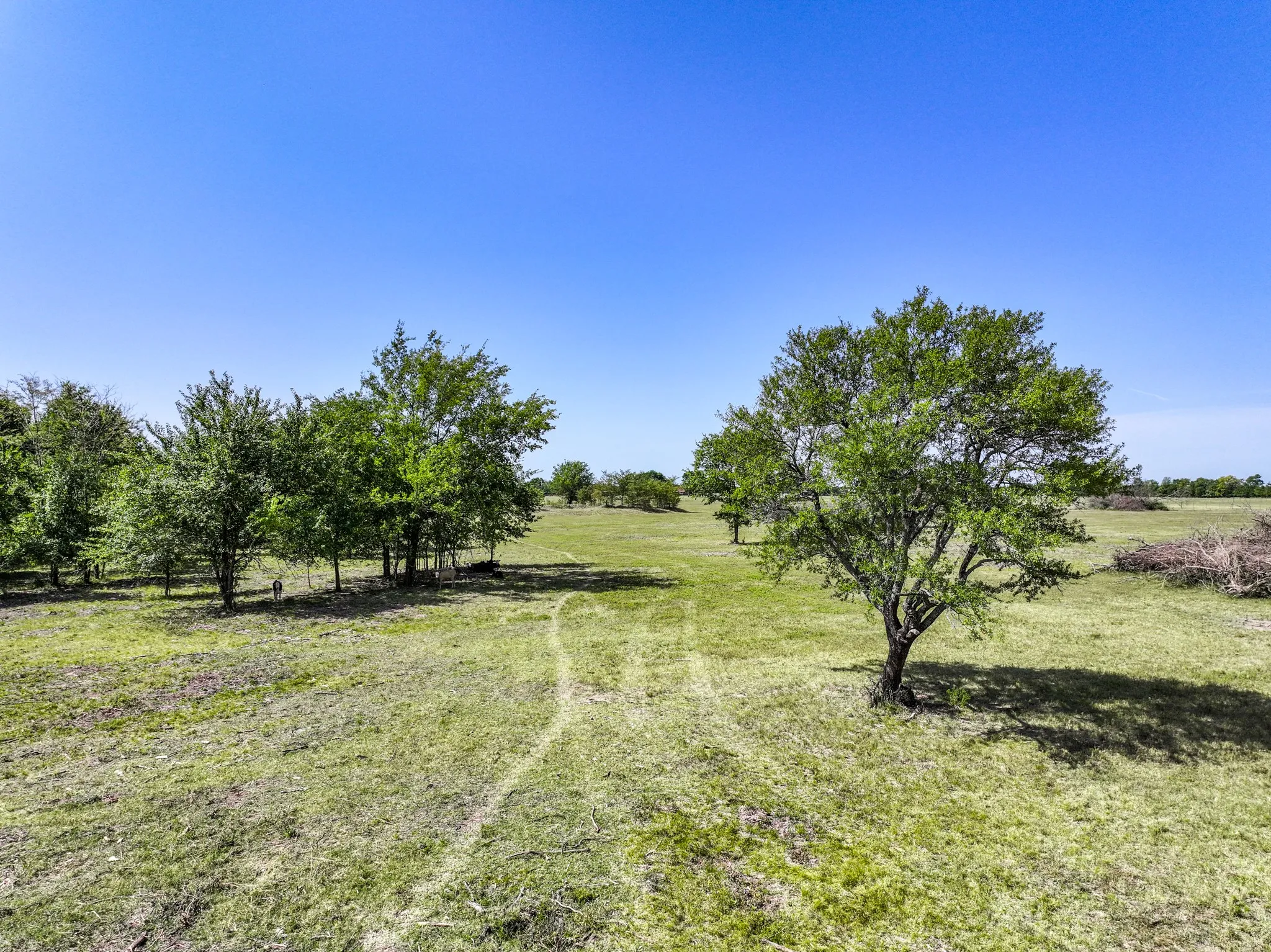 Unimproved Land For Sale in Hopkins County , 229 County Road 4733, Cumby, Texas 75433, 0, 0, Garage spaces, 0 Sqft, built in 0, mls#21367601, Real Estate Agent in Cumby, Homes For Sale in Hopkins county, Homes For Sale in Cumby, Realtor in Cumby Texas, Real Estate Brokerage Independent Realty Texas, Luminita Cordes Realtor