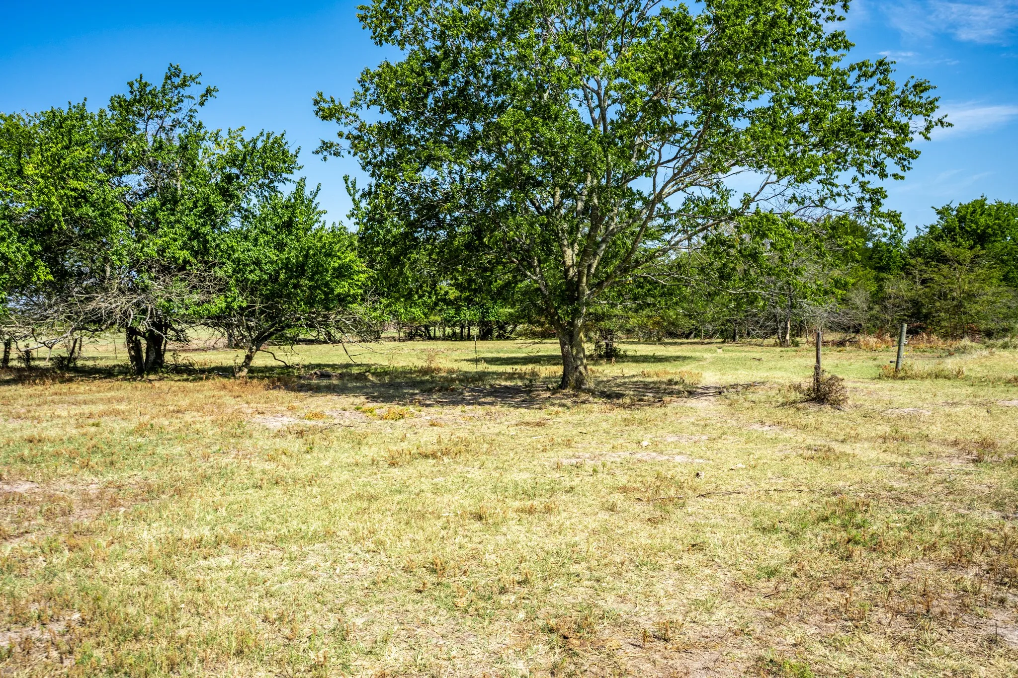 Unimproved Land For Sale in Hopkins County , 229 County Road 4733, Cumby, Texas 75433, 0, 0, Garage spaces, 0 Sqft, built in 0, mls#21367601, Real Estate Agent in Cumby, Homes For Sale in Hopkins county, Homes For Sale in Cumby, Realtor in Cumby Texas, Real Estate Brokerage Independent Realty Texas, Luminita Cordes Realtor