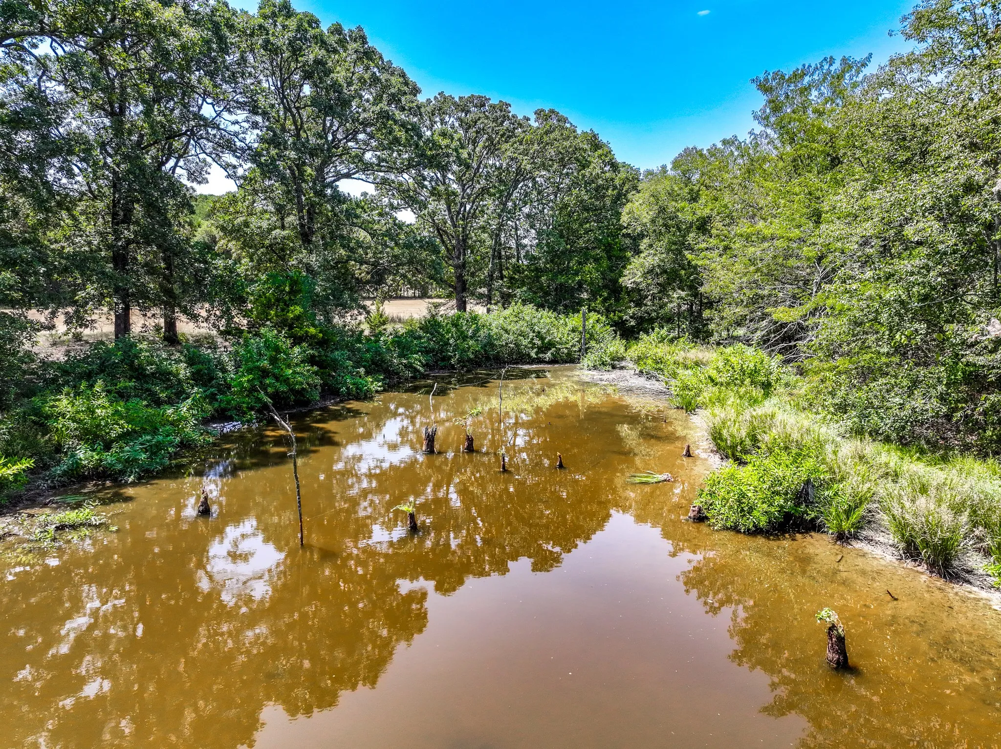 Unimproved Land For Sale in Fannin County , 000 County Road 2615, Ivanhoe, Texas 75447, 0, 0, Garage spaces, 0 Sqft, built in 0, mls#21367603, Real Estate Agent in Ivanhoe, Homes For Sale in Fannin county, Homes For Sale in Ivanhoe, Realtor in Ivanhoe Texas, Real Estate Brokerage Independent Realty Texas, Luminita Cordes Realtor