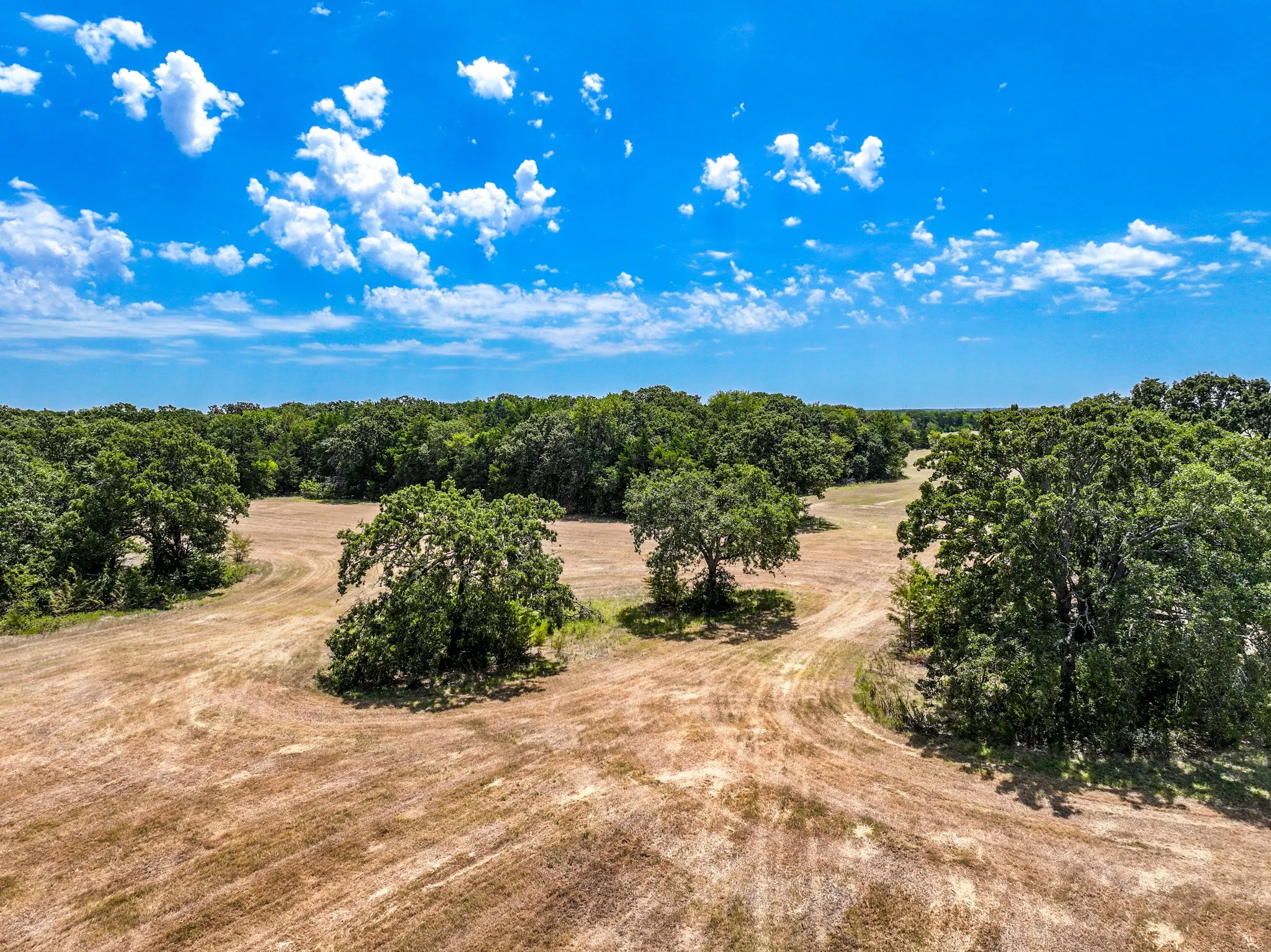 Unimproved Land For Sale in Fannin County , 000 County Road 2615, Ivanhoe, Texas 75447, 0, 0, Garage spaces, 0 Sqft, built in 0, mls#21367603, Real Estate Agent in Ivanhoe, Homes For Sale in Fannin county, Homes For Sale in Ivanhoe, Realtor in Ivanhoe Texas, Real Estate Brokerage Independent Realty Texas, Luminita Cordes Realtor