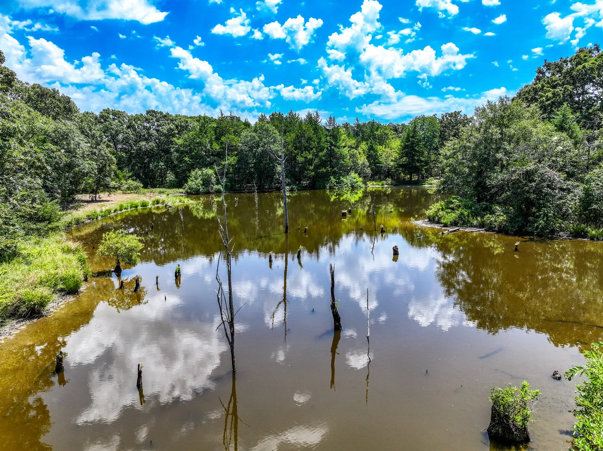 Unimproved Land For Sale in Fannin County , 000 County Road 2615, Ivanhoe, Texas 75447, 0, 0, Garage spaces, 0 Sqft, built in 0, mls#21367603, Real Estate Agent in Ivanhoe, Homes For Sale in Fannin county, Homes For Sale in Ivanhoe, Realtor in Ivanhoe Texas, Real Estate Brokerage Independent Realty Texas, Luminita Cordes Realtor