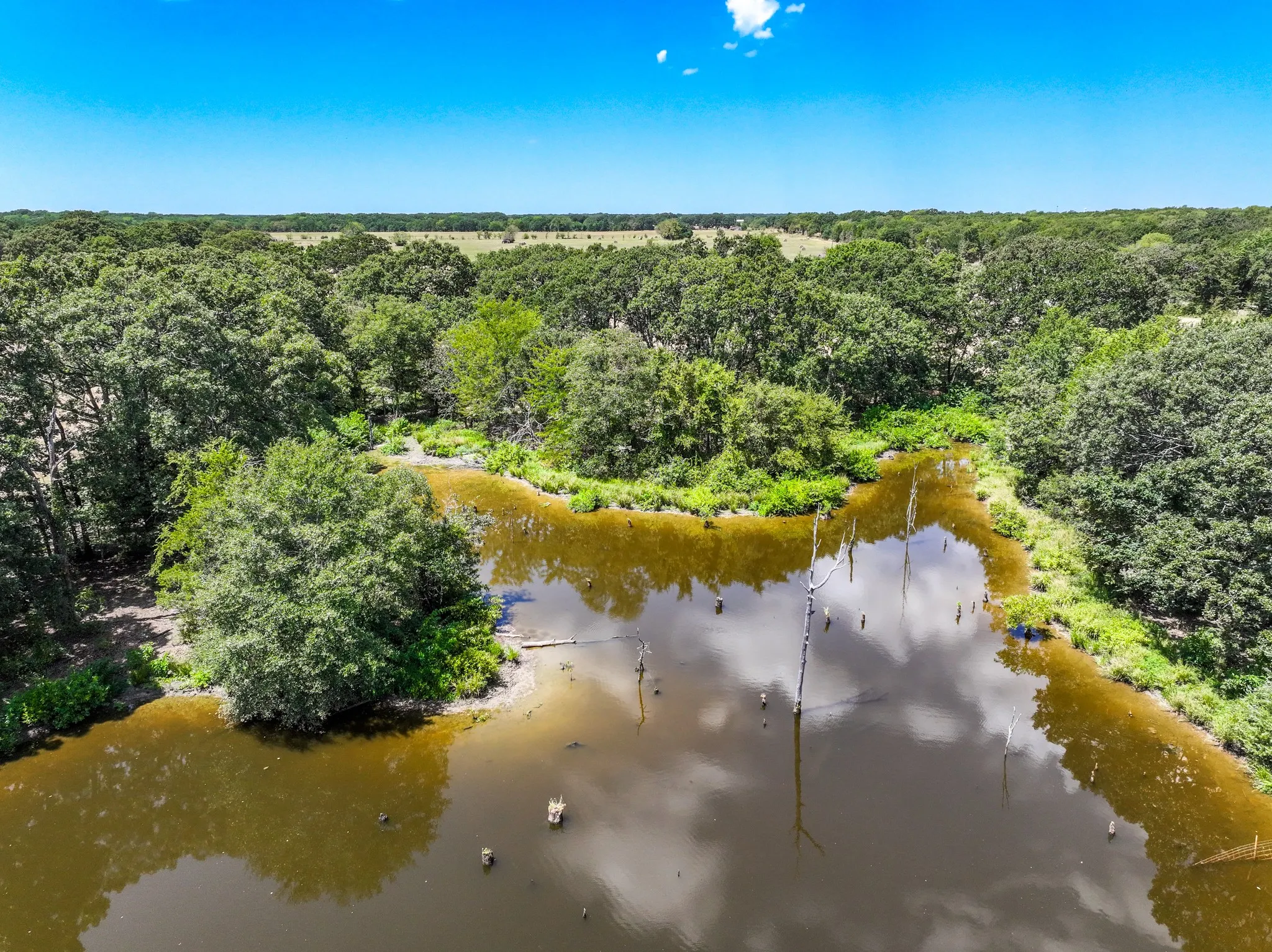 Unimproved Land For Sale in Fannin County , 000 County Road 2615, Ivanhoe, Texas 75447, 0, 0, Garage spaces, 0 Sqft, built in 0, mls#21367603, Real Estate Agent in Ivanhoe, Homes For Sale in Fannin county, Homes For Sale in Ivanhoe, Realtor in Ivanhoe Texas, Real Estate Brokerage Independent Realty Texas, Luminita Cordes Realtor