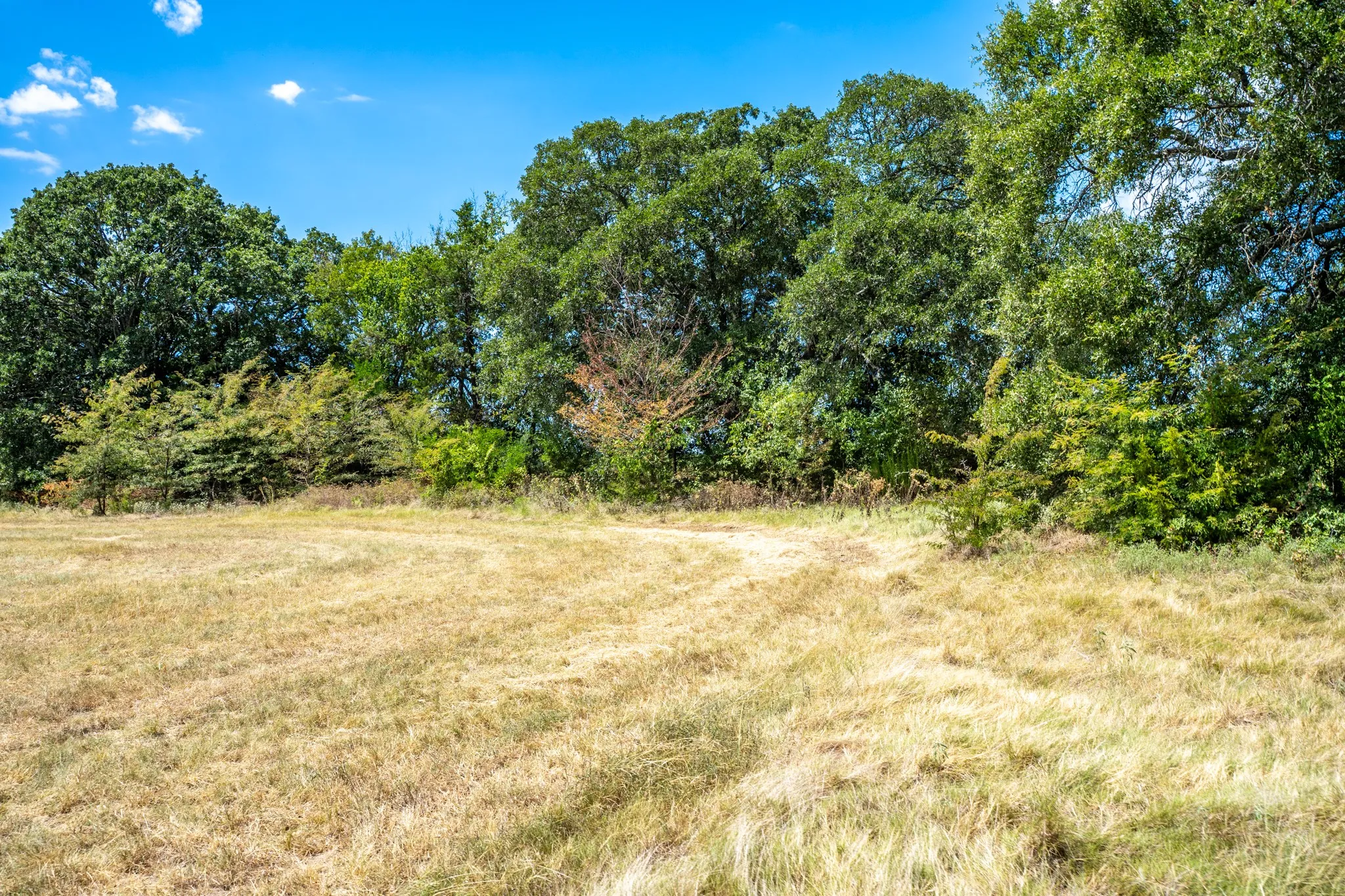 Unimproved Land For Sale in Fannin County , 000 County Road 2615, Ivanhoe, Texas 75447, 0, 0, Garage spaces, 0 Sqft, built in 0, mls#21367603, Real Estate Agent in Ivanhoe, Homes For Sale in Fannin county, Homes For Sale in Ivanhoe, Realtor in Ivanhoe Texas, Real Estate Brokerage Independent Realty Texas, Luminita Cordes Realtor