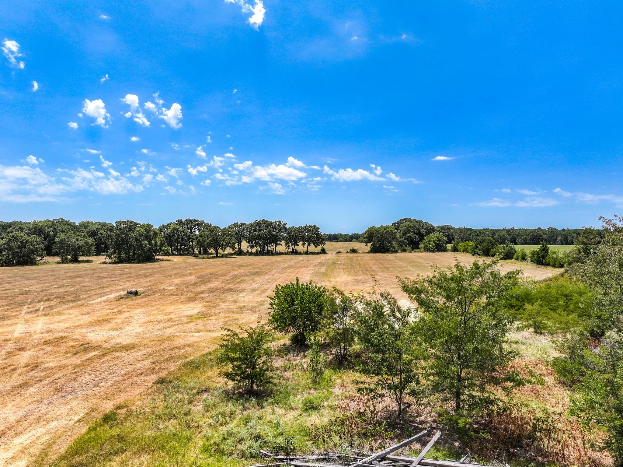Unimproved Land For Sale in Fannin County , 000 County Road 2615, Ivanhoe, Texas 75447, 0, 0, Garage spaces, 0 Sqft, built in 0, mls#21367603, Real Estate Agent in Ivanhoe, Homes For Sale in Fannin county, Homes For Sale in Ivanhoe, Realtor in Ivanhoe Texas, Real Estate Brokerage Independent Realty Texas, Luminita Cordes Realtor
