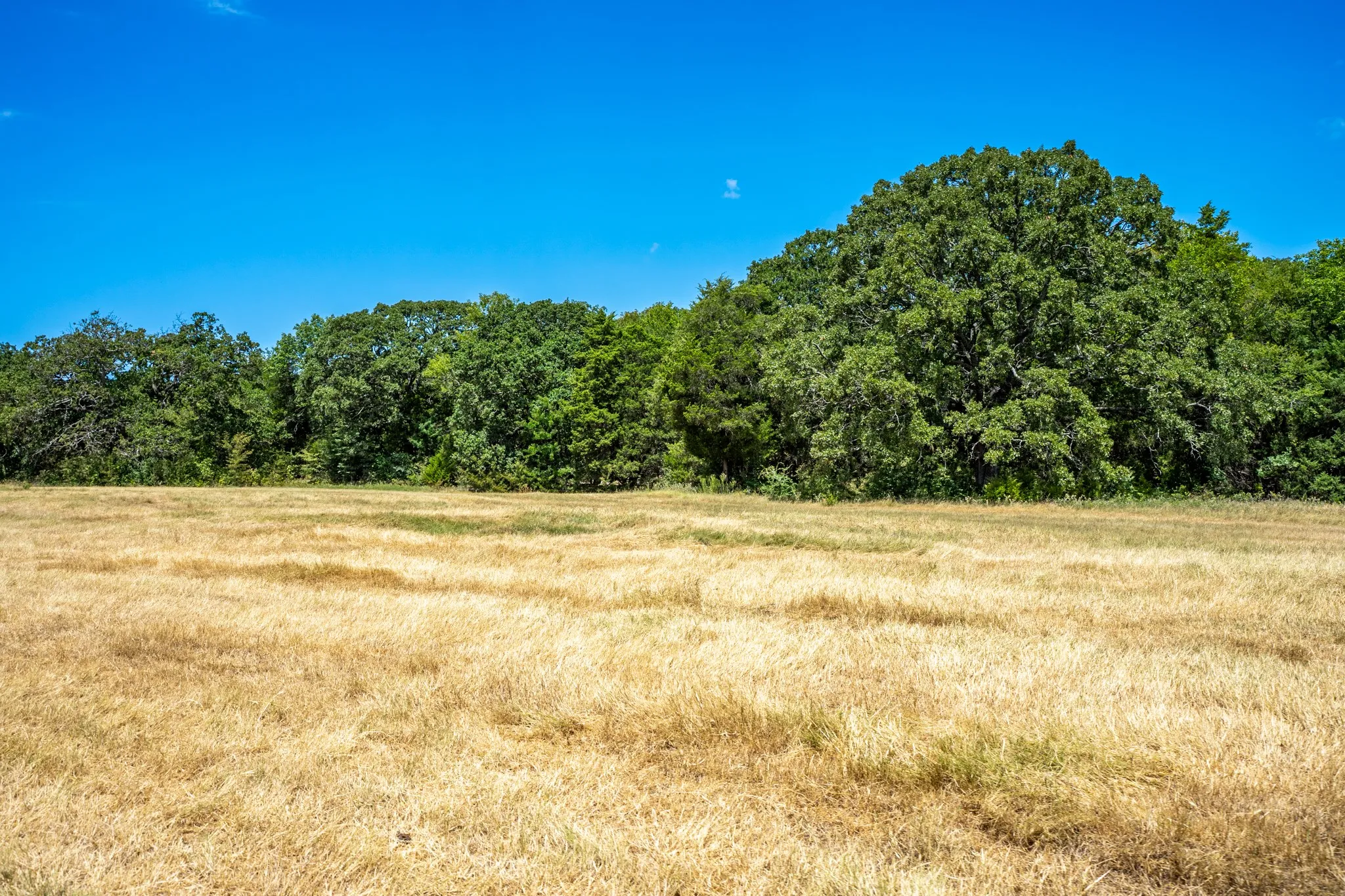 Unimproved Land For Sale in Fannin County , 000 County Road 2615, Ivanhoe, Texas 75447, 0, 0, Garage spaces, 0 Sqft, built in 0, mls#21367603, Real Estate Agent in Ivanhoe, Homes For Sale in Fannin county, Homes For Sale in Ivanhoe, Realtor in Ivanhoe Texas, Real Estate Brokerage Independent Realty Texas, Luminita Cordes Realtor