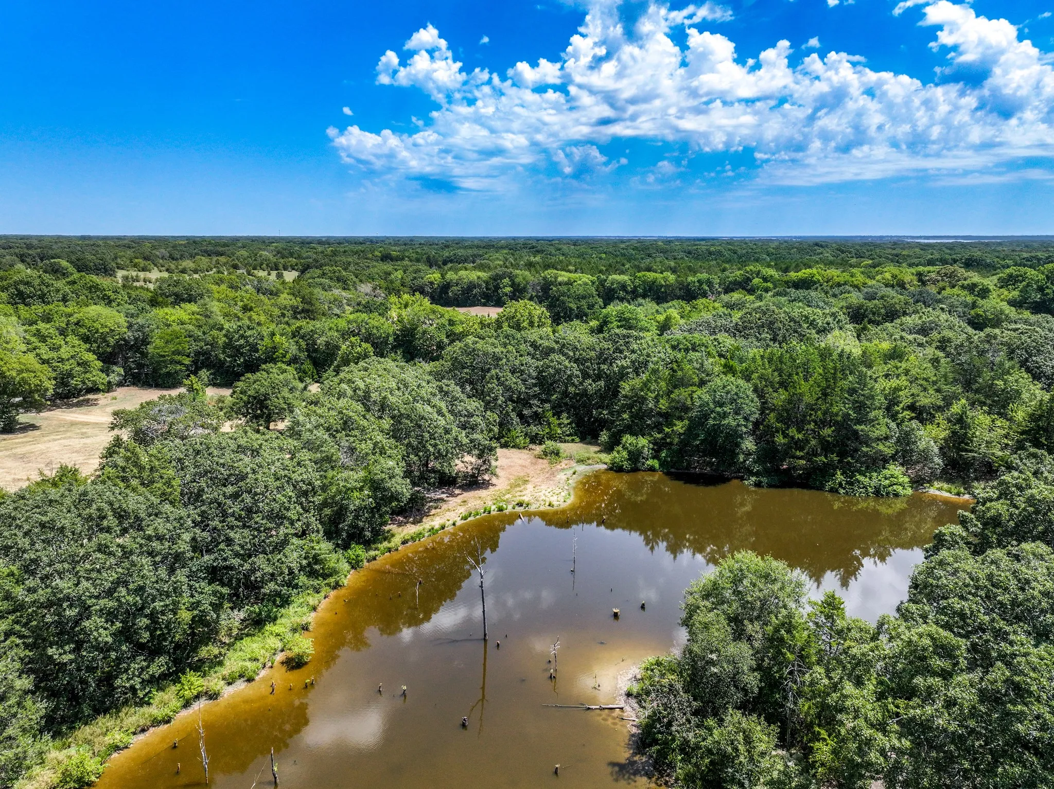 Unimproved Land For Sale in Fannin County , 000 County Road 2615, Ivanhoe, Texas 75447, 0, 0, Garage spaces, 0 Sqft, built in 0, mls#21367603, Real Estate Agent in Ivanhoe, Homes For Sale in Fannin county, Homes For Sale in Ivanhoe, Realtor in Ivanhoe Texas, Real Estate Brokerage Independent Realty Texas, Luminita Cordes Realtor