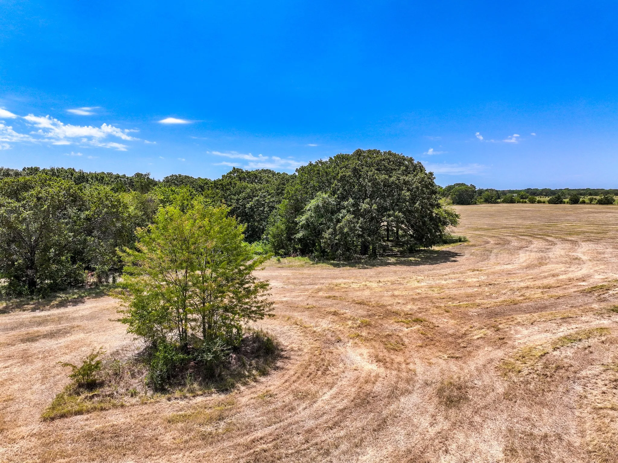 Unimproved Land For Sale in Fannin County , 000 County Road 2615, Ivanhoe, Texas 75447, 0, 0, Garage spaces, 0 Sqft, built in 0, mls#21367603, Real Estate Agent in Ivanhoe, Homes For Sale in Fannin county, Homes For Sale in Ivanhoe, Realtor in Ivanhoe Texas, Real Estate Brokerage Independent Realty Texas, Luminita Cordes Realtor