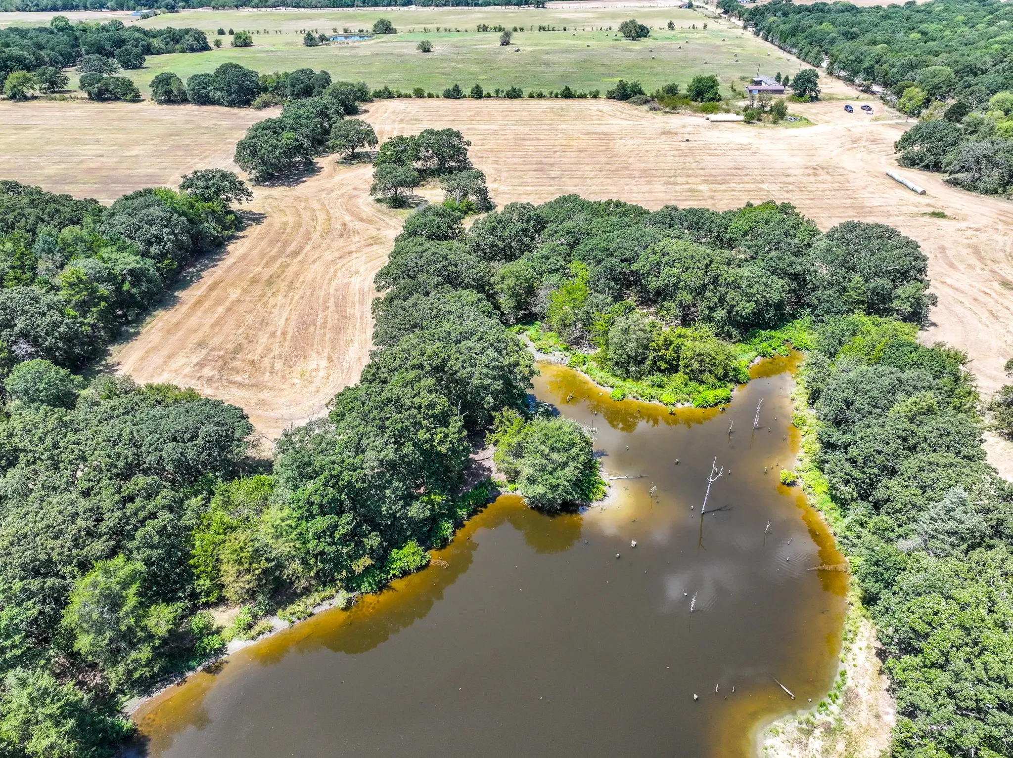 Unimproved Land For Sale in Fannin County , 000 County Road 2615, Ivanhoe, Texas 75447, 0, 0, Garage spaces, 0 Sqft, built in 0, mls#21367603, Real Estate Agent in Ivanhoe, Homes For Sale in Fannin county, Homes For Sale in Ivanhoe, Realtor in Ivanhoe Texas, Real Estate Brokerage Independent Realty Texas, Luminita Cordes Realtor