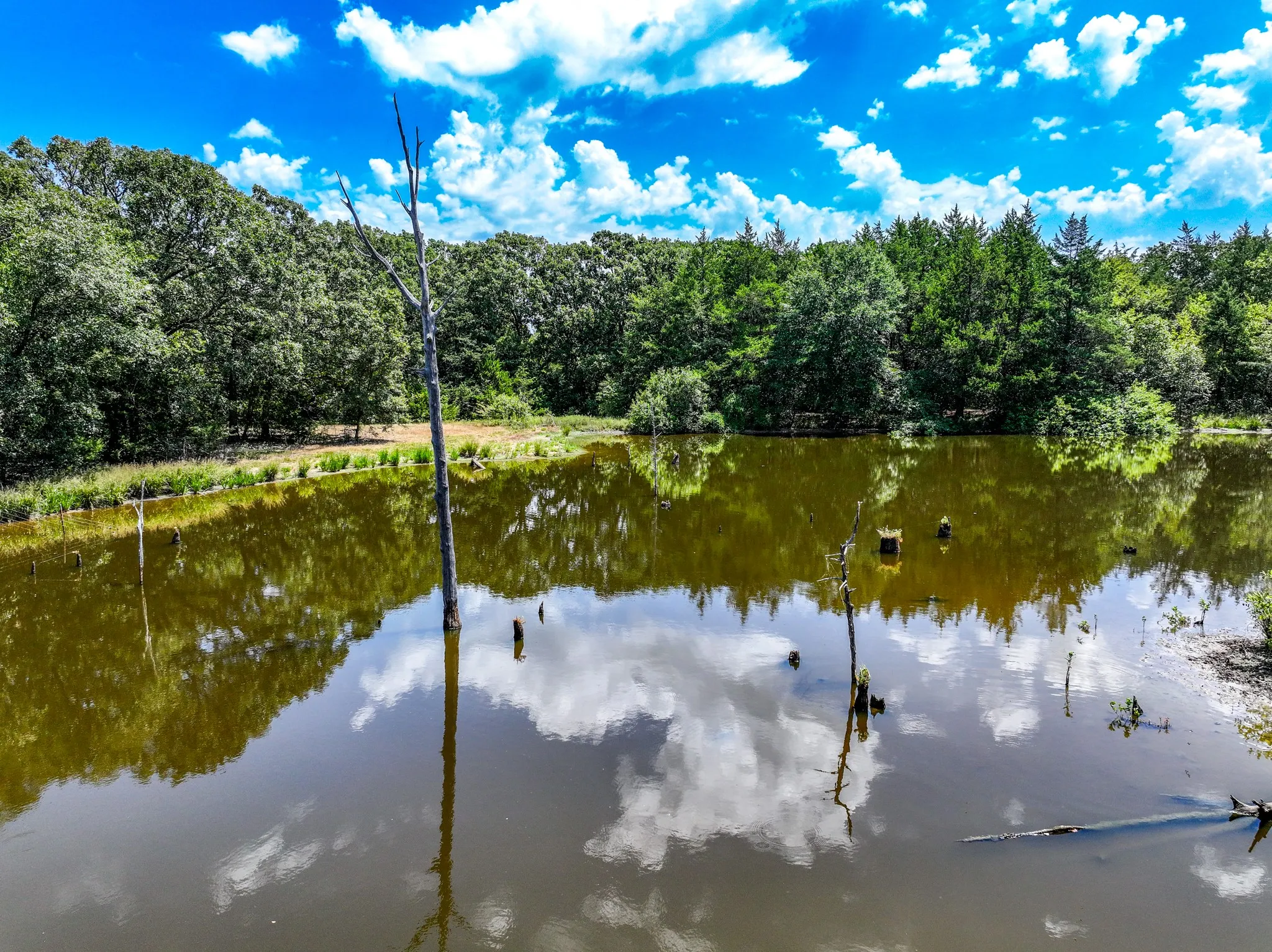 Unimproved Land For Sale in Fannin County , 000 County Road 2615, Ivanhoe, Texas 75447, 0, 0, Garage spaces, 0 Sqft, built in 0, mls#21367603, Real Estate Agent in Ivanhoe, Homes For Sale in Fannin county, Homes For Sale in Ivanhoe, Realtor in Ivanhoe Texas, Real Estate Brokerage Independent Realty Texas, Luminita Cordes Realtor