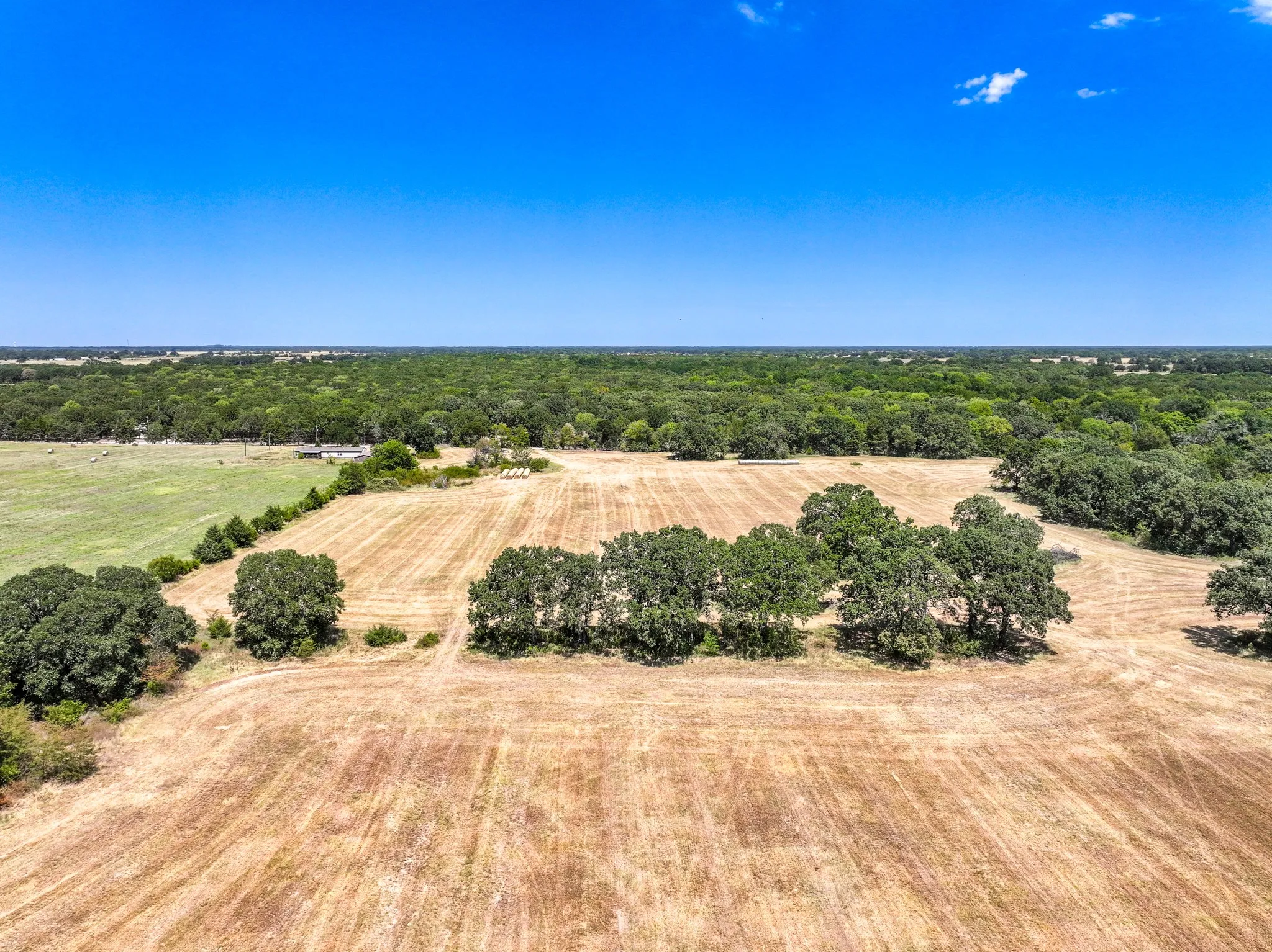 Unimproved Land For Sale in Fannin County , 000 County Road 2615, Ivanhoe, Texas 75447, 0, 0, Garage spaces, 0 Sqft, built in 0, mls#21367603, Real Estate Agent in Ivanhoe, Homes For Sale in Fannin county, Homes For Sale in Ivanhoe, Realtor in Ivanhoe Texas, Real Estate Brokerage Independent Realty Texas, Luminita Cordes Realtor