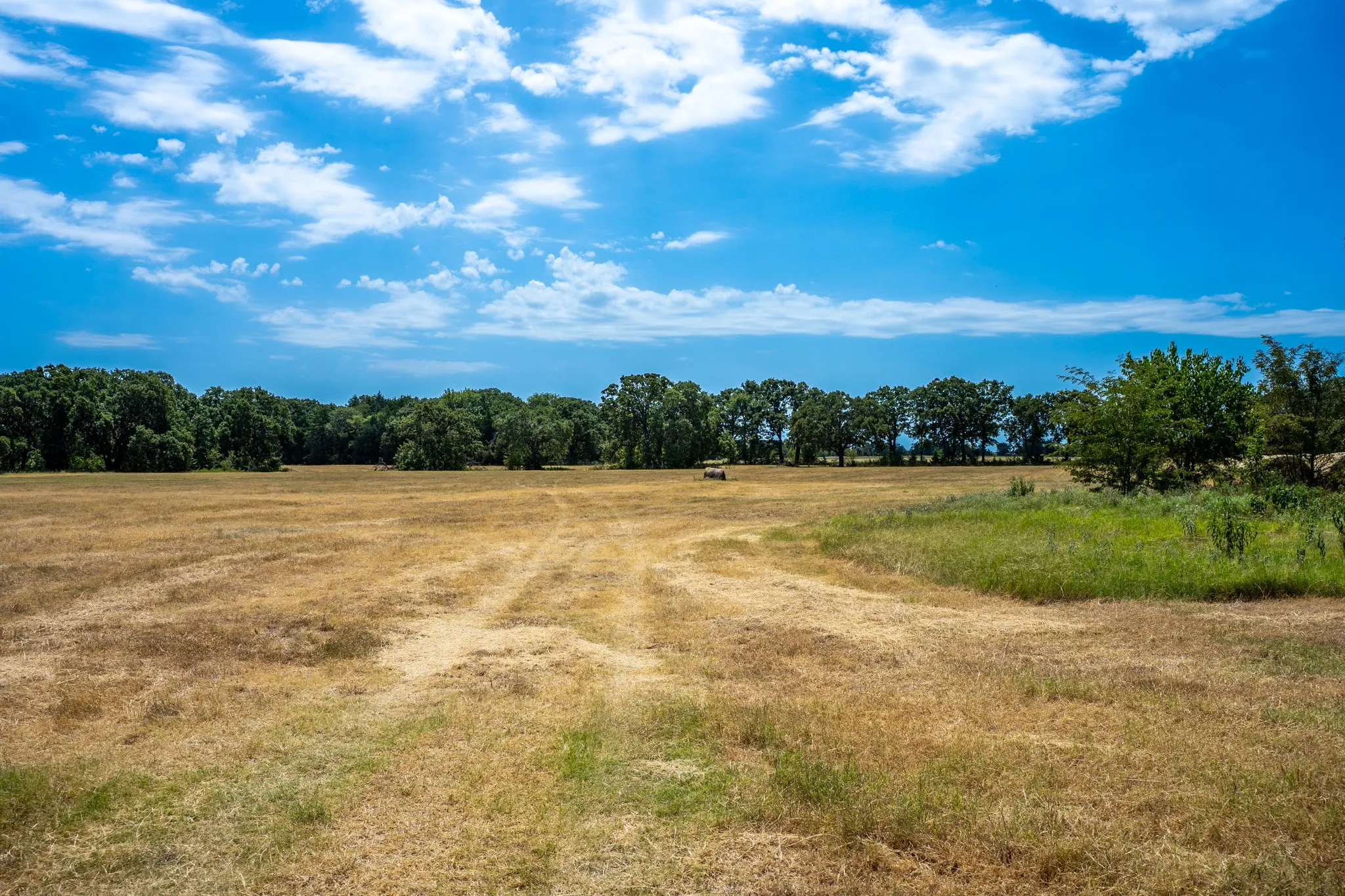 Unimproved Land For Sale in Fannin County , 000 County Road 2615, Ivanhoe, Texas 75447, 0, 0, Garage spaces, 0 Sqft, built in 0, mls#21367603, Real Estate Agent in Ivanhoe, Homes For Sale in Fannin county, Homes For Sale in Ivanhoe, Realtor in Ivanhoe Texas, Real Estate Brokerage Independent Realty Texas, Luminita Cordes Realtor