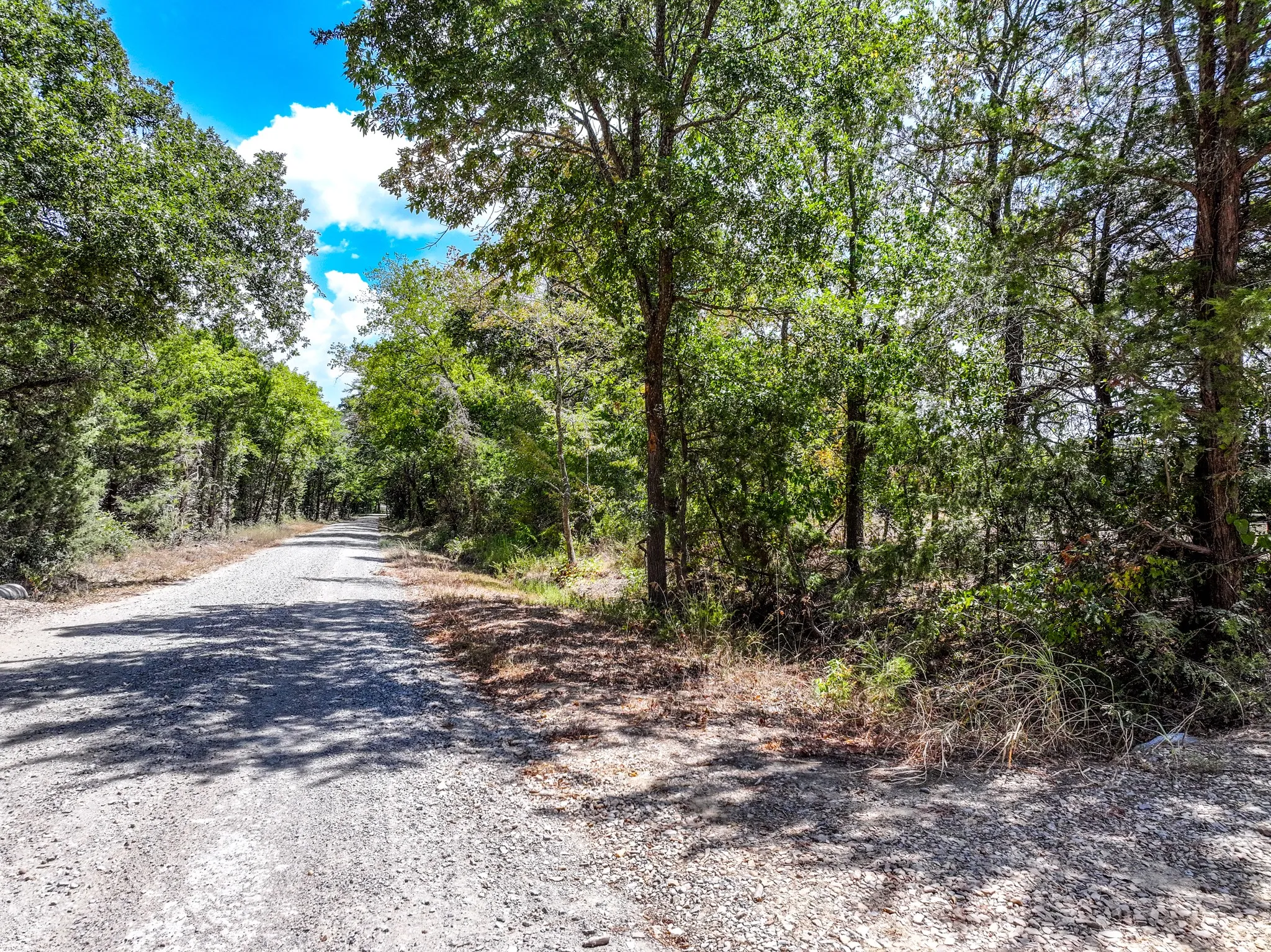 Unimproved Land For Sale in Fannin County , 000 County Road 2615, Ivanhoe, Texas 75447, 0, 0, Garage spaces, 0 Sqft, built in 0, mls#21367603, Real Estate Agent in Ivanhoe, Homes For Sale in Fannin county, Homes For Sale in Ivanhoe, Realtor in Ivanhoe Texas, Real Estate Brokerage Independent Realty Texas, Luminita Cordes Realtor