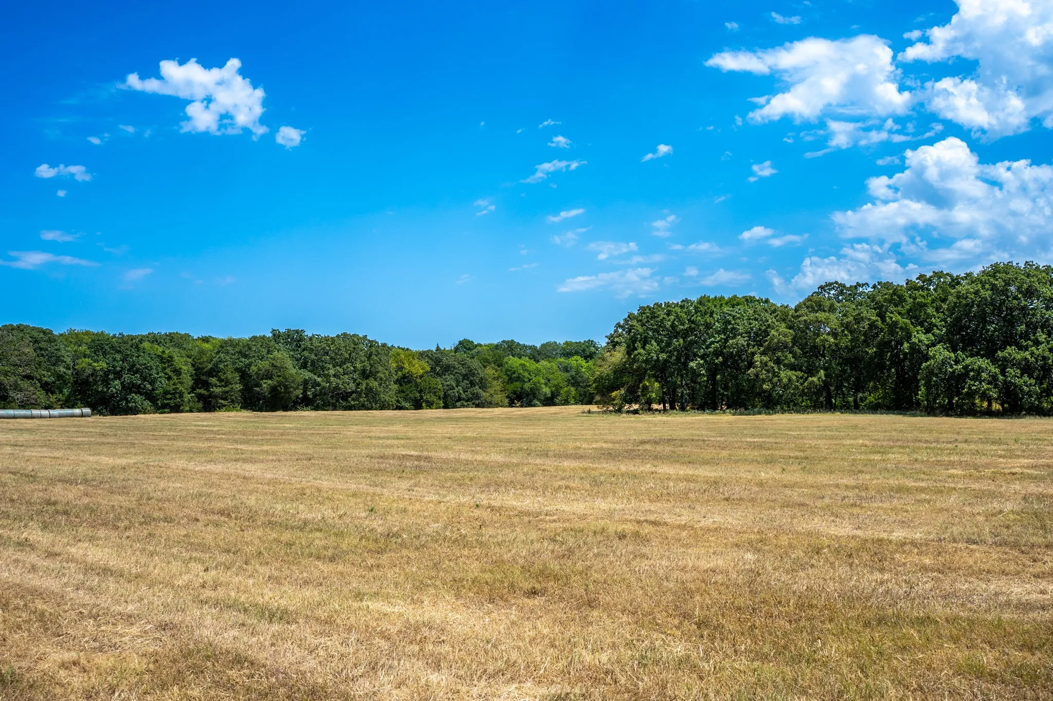 Unimproved Land For Sale in Fannin County , 000 County Road 2615, Ivanhoe, Texas 75447, 0, 0, Garage spaces, 0 Sqft, built in 0, mls#21367603, Real Estate Agent in Ivanhoe, Homes For Sale in Fannin county, Homes For Sale in Ivanhoe, Realtor in Ivanhoe Texas, Real Estate Brokerage Independent Realty Texas, Luminita Cordes Realtor