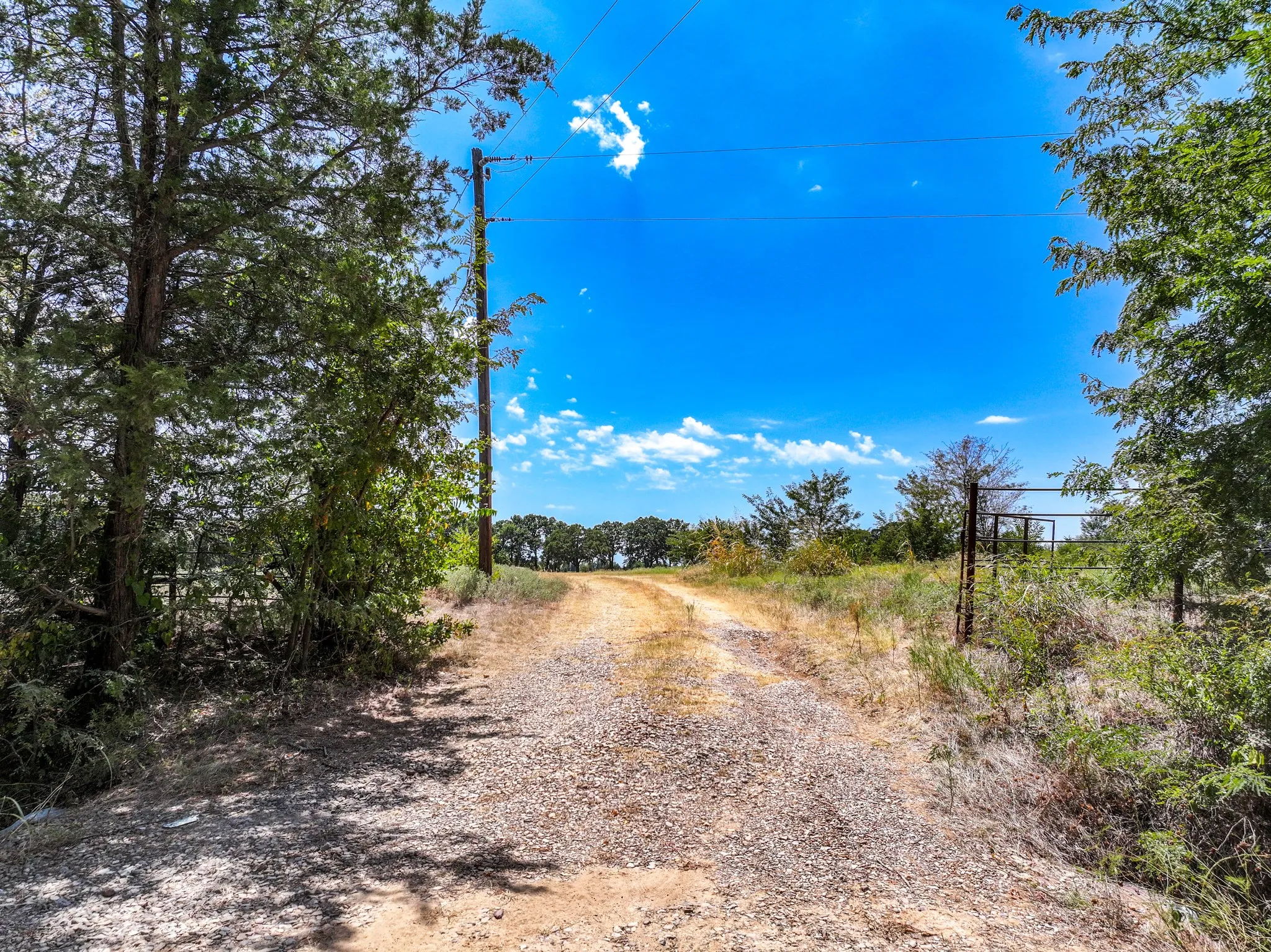 Unimproved Land For Sale in Fannin County , 000 County Road 2615, Ivanhoe, Texas 75447, 0, 0, Garage spaces, 0 Sqft, built in 0, mls#21367603, Real Estate Agent in Ivanhoe, Homes For Sale in Fannin county, Homes For Sale in Ivanhoe, Realtor in Ivanhoe Texas, Real Estate Brokerage Independent Realty Texas, Luminita Cordes Realtor