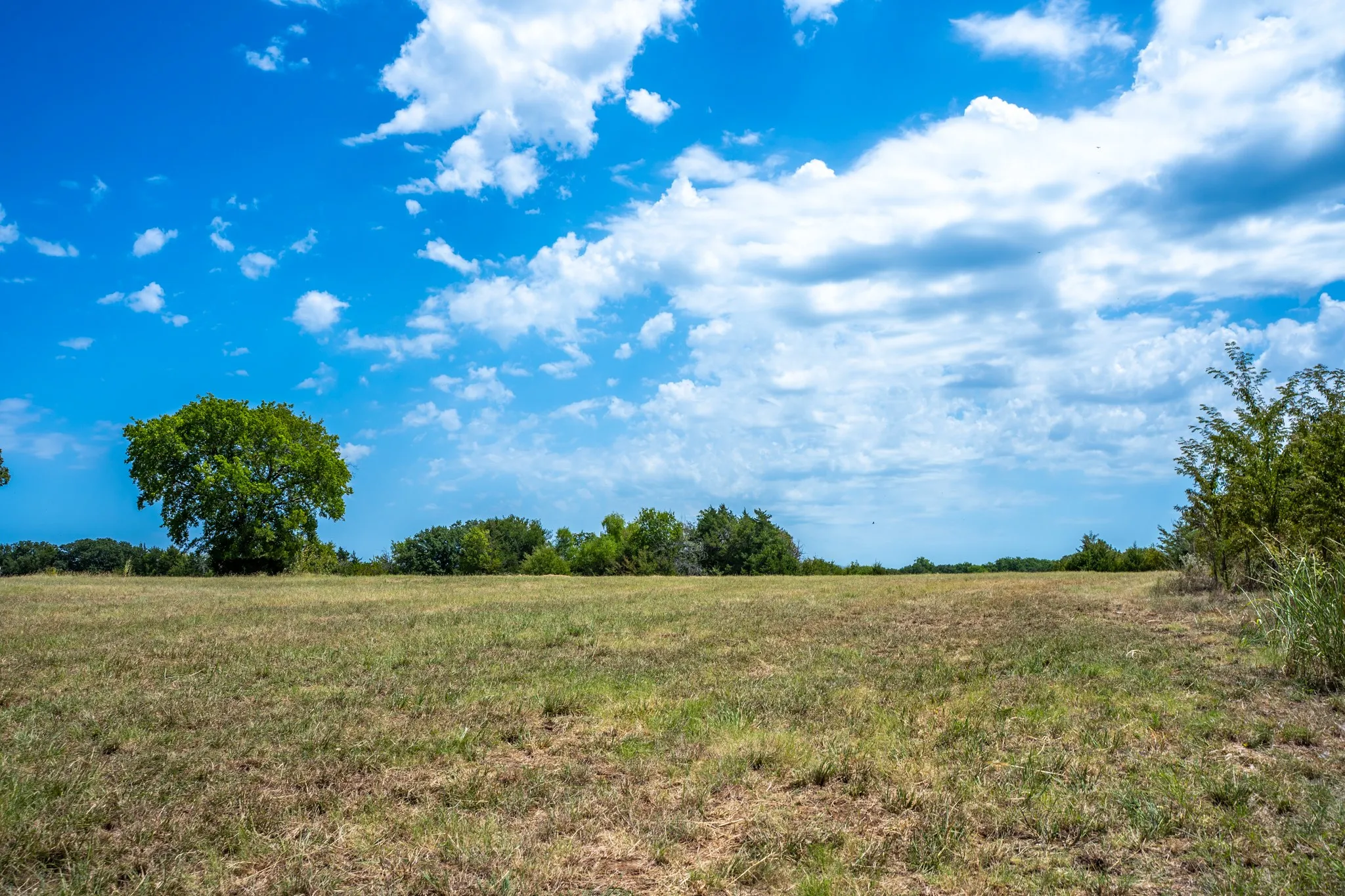 Unimproved Land For Sale in Fannin County , 000 County Road 2615, Ivanhoe, Texas 75447, 0, 0, Garage spaces, 0 Sqft, built in 0, mls#21367603, Real Estate Agent in Ivanhoe, Homes For Sale in Fannin county, Homes For Sale in Ivanhoe, Realtor in Ivanhoe Texas, Real Estate Brokerage Independent Realty Texas, Luminita Cordes Realtor