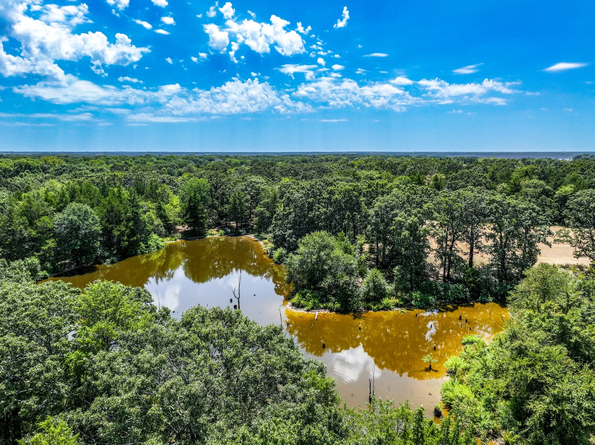 Unimproved Land For Sale in Fannin County , 000 County Road 2615, Ivanhoe, Texas 75447, 0, 0, Garage spaces, 0 Sqft, built in 0, mls#21367603, Real Estate Agent in Ivanhoe, Homes For Sale in Fannin county, Homes For Sale in Ivanhoe, Realtor in Ivanhoe Texas, Real Estate Brokerage Independent Realty Texas, Luminita Cordes Realtor