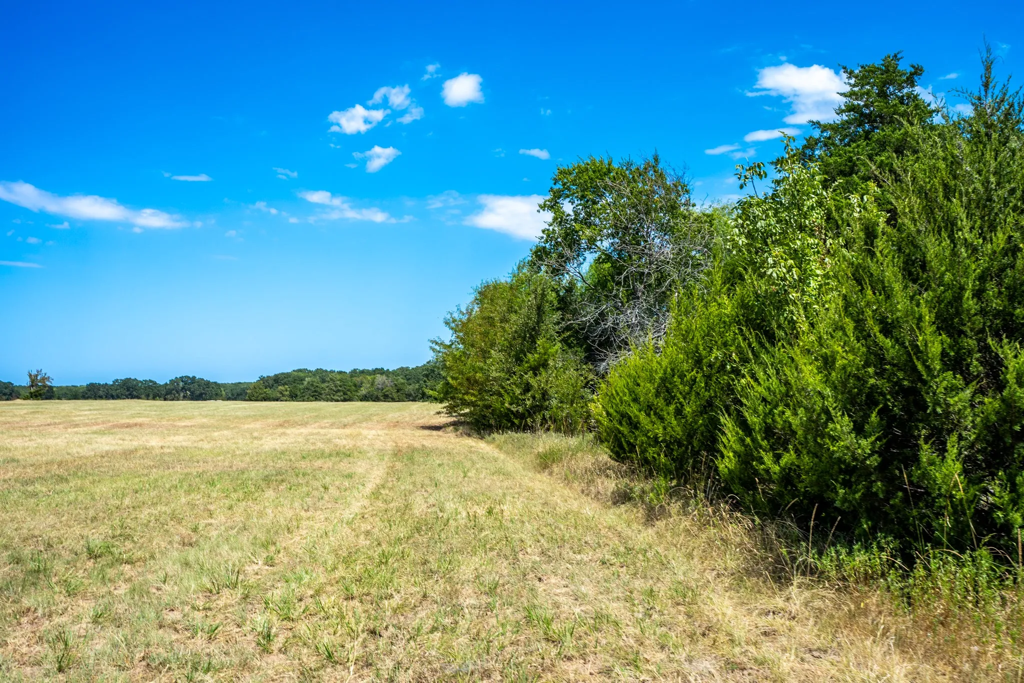 Unimproved Land For Sale in Fannin County , 000 County Road 2615, Ivanhoe, Texas 75447, 0, 0, Garage spaces, 0 Sqft, built in 0, mls#21367603, Real Estate Agent in Ivanhoe, Homes For Sale in Fannin county, Homes For Sale in Ivanhoe, Realtor in Ivanhoe Texas, Real Estate Brokerage Independent Realty Texas, Luminita Cordes Realtor