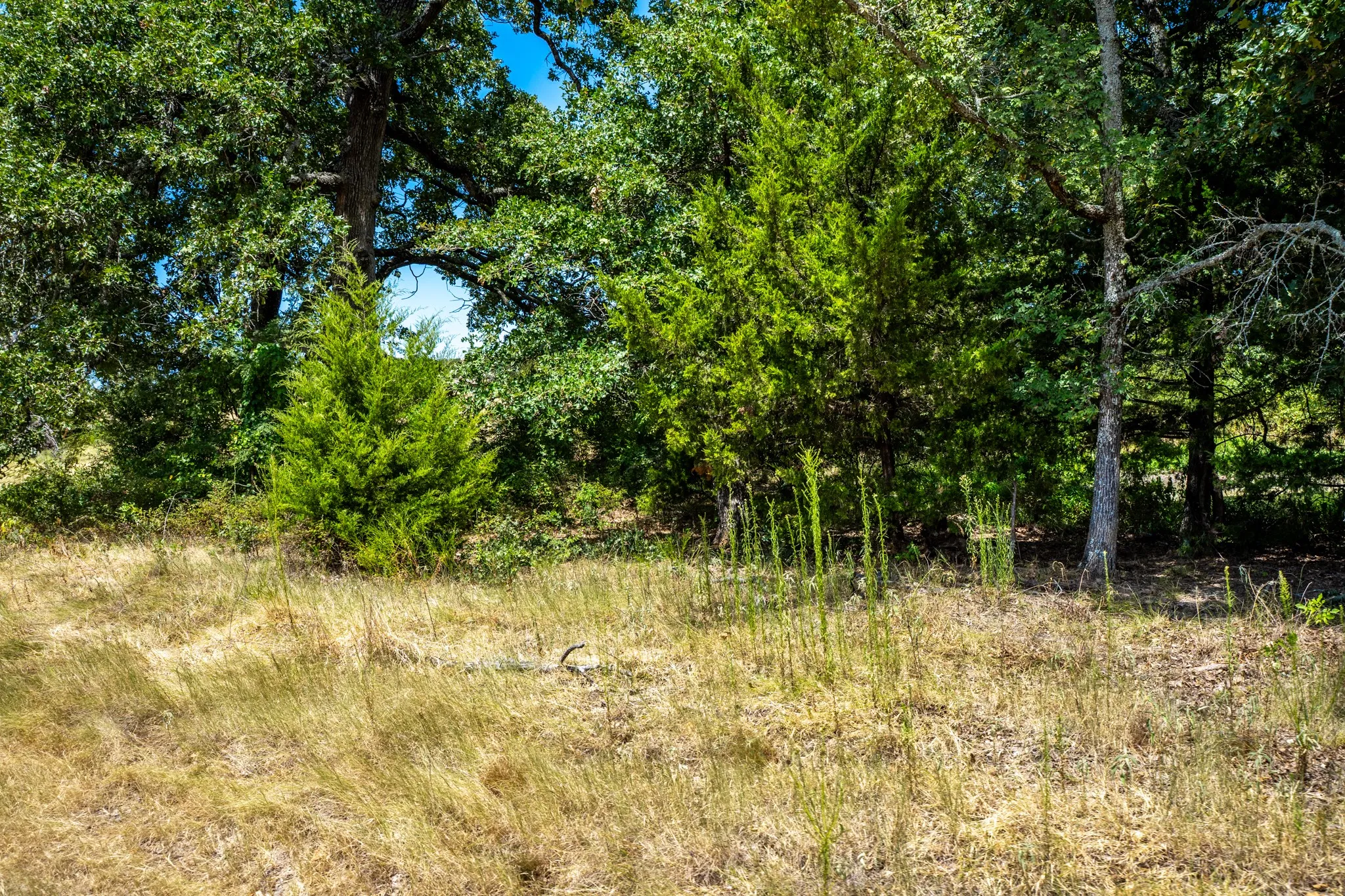 Unimproved Land For Sale in Fannin County , 000 County Road 2615, Ivanhoe, Texas 75447, 0, 0, Garage spaces, 0 Sqft, built in 0, mls#21367603, Real Estate Agent in Ivanhoe, Homes For Sale in Fannin county, Homes For Sale in Ivanhoe, Realtor in Ivanhoe Texas, Real Estate Brokerage Independent Realty Texas, Luminita Cordes Realtor
