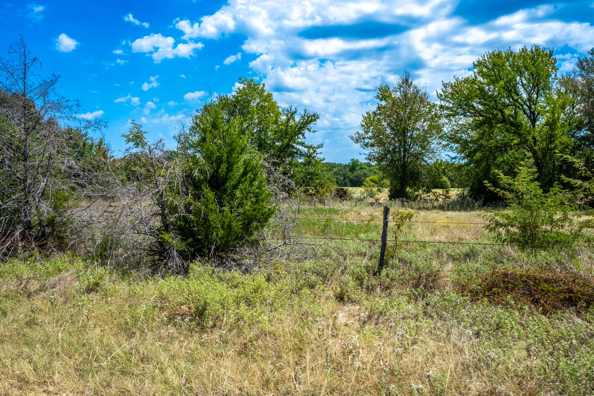 Unimproved Land For Sale in Fannin County , 000 County Road 2615, Ivanhoe, Texas 75447, 0, 0, Garage spaces, 0 Sqft, built in 0, mls#21367603, Real Estate Agent in Ivanhoe, Homes For Sale in Fannin county, Homes For Sale in Ivanhoe, Realtor in Ivanhoe Texas, Real Estate Brokerage Independent Realty Texas, Luminita Cordes Realtor