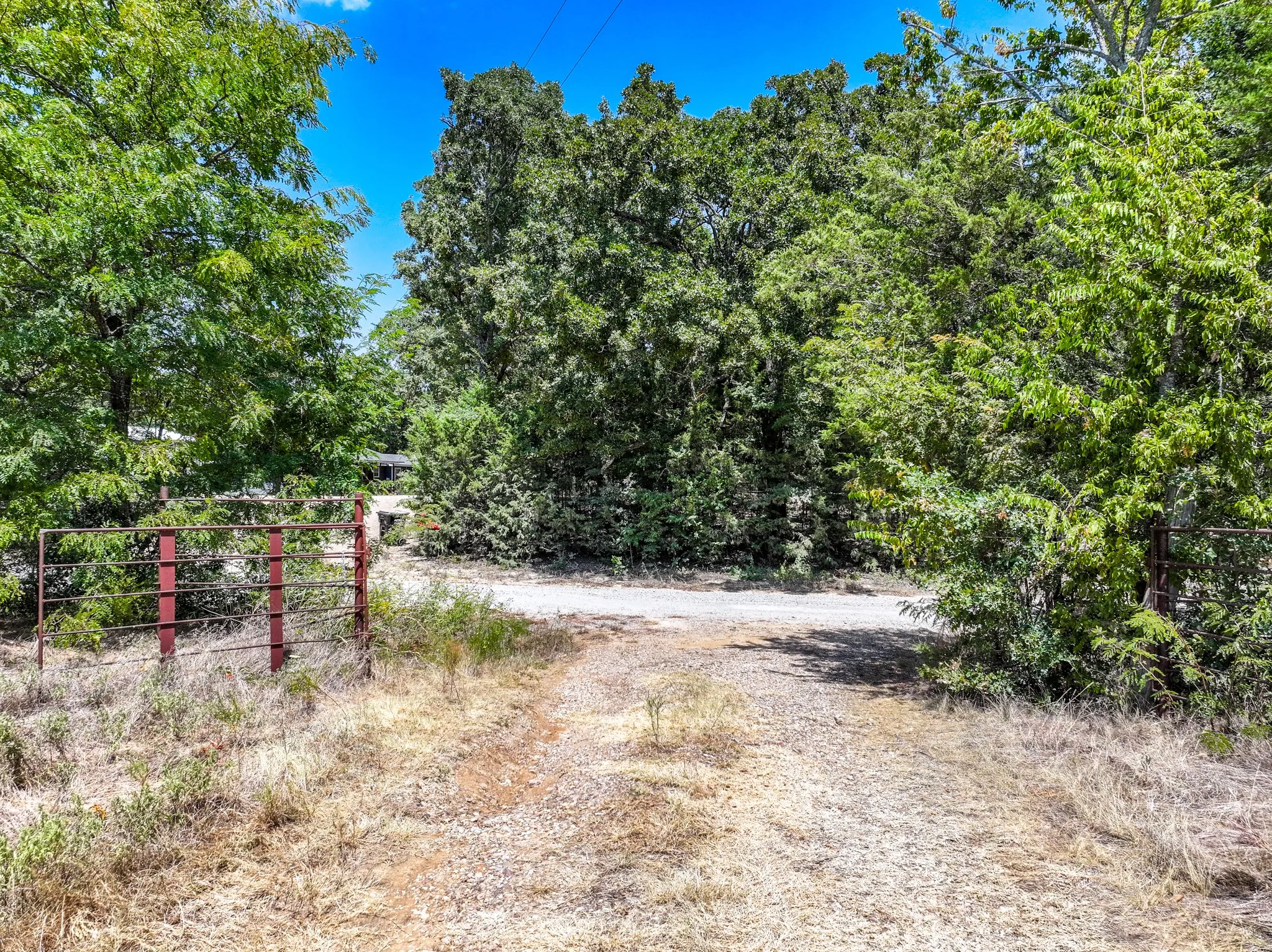 Unimproved Land For Sale in Fannin County , 000 County Road 2615, Ivanhoe, Texas 75447, 0, 0, Garage spaces, 0 Sqft, built in 0, mls#21367603, Real Estate Agent in Ivanhoe, Homes For Sale in Fannin county, Homes For Sale in Ivanhoe, Realtor in Ivanhoe Texas, Real Estate Brokerage Independent Realty Texas, Luminita Cordes Realtor
