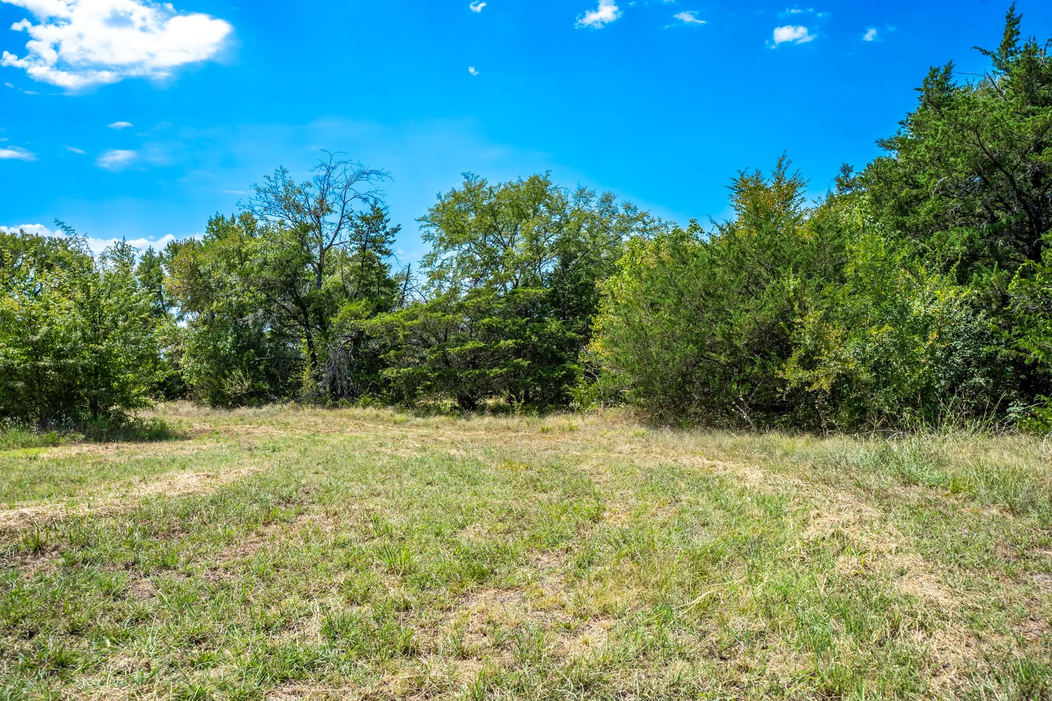 Unimproved Land For Sale in Fannin County , 000 County Road 2615, Ivanhoe, Texas 75447, 0, 0, Garage spaces, 0 Sqft, built in 0, mls#21367603, Real Estate Agent in Ivanhoe, Homes For Sale in Fannin county, Homes For Sale in Ivanhoe, Realtor in Ivanhoe Texas, Real Estate Brokerage Independent Realty Texas, Luminita Cordes Realtor