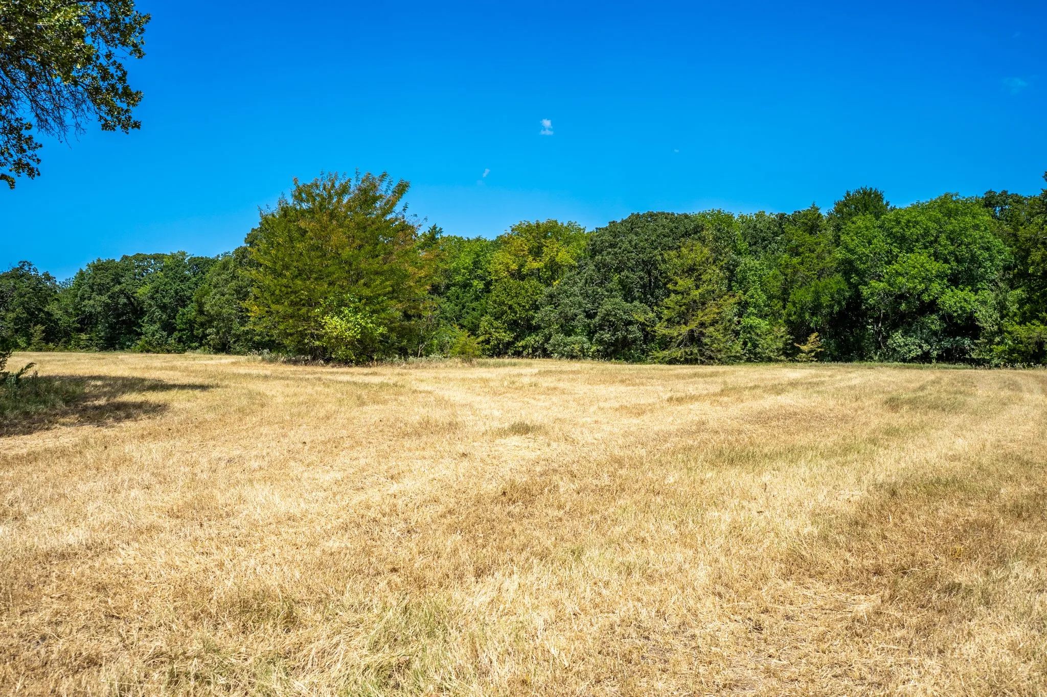 Unimproved Land For Sale in Fannin County , 000 County Road 2615, Ivanhoe, Texas 75447, 0, 0, Garage spaces, 0 Sqft, built in 0, mls#21367603, Real Estate Agent in Ivanhoe, Homes For Sale in Fannin county, Homes For Sale in Ivanhoe, Realtor in Ivanhoe Texas, Real Estate Brokerage Independent Realty Texas, Luminita Cordes Realtor